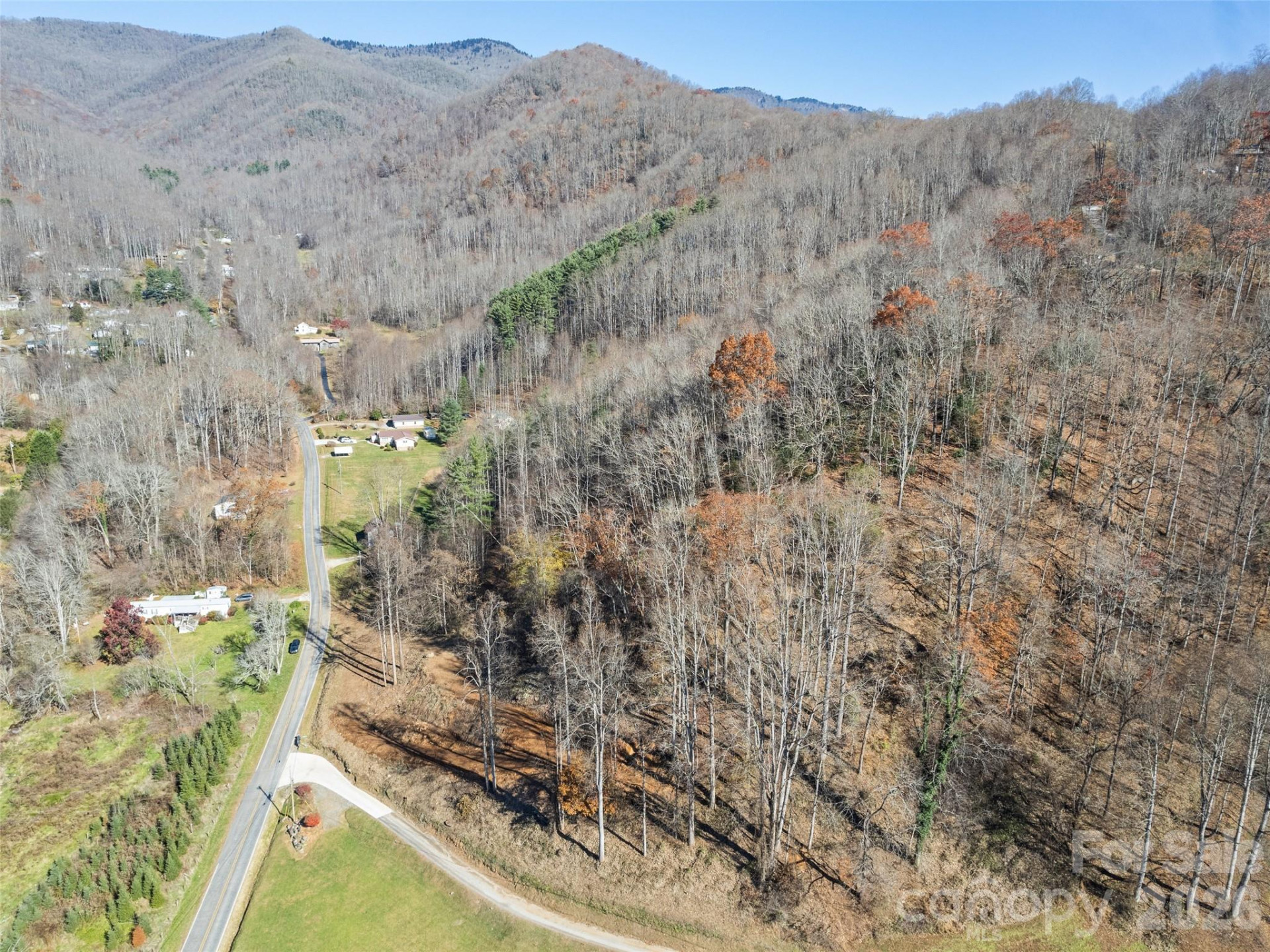 Tract 3: Lot 4 White Birch Drive - Photo 2