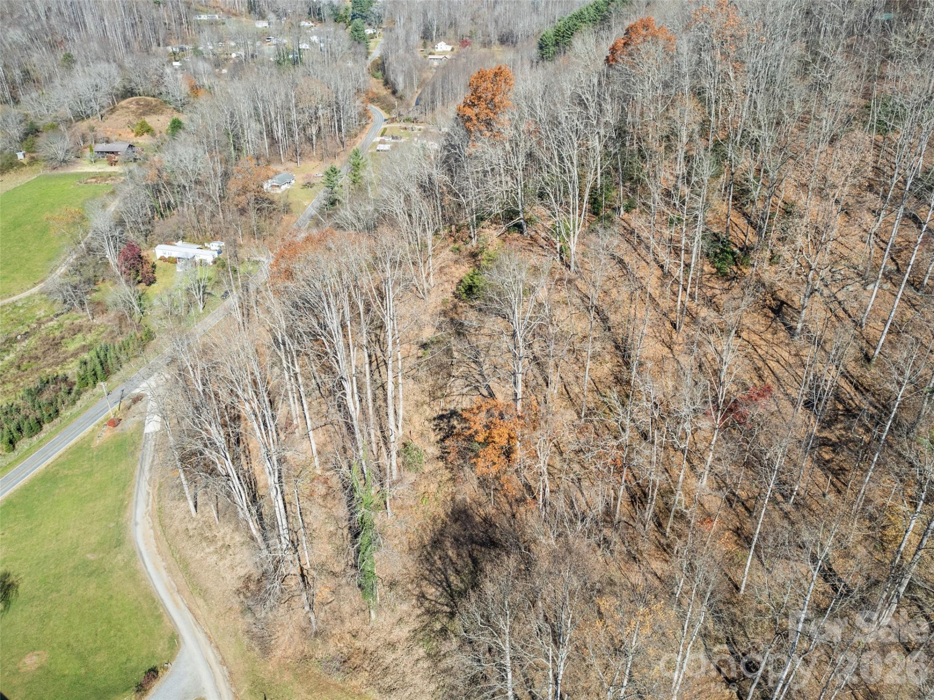 Tract 3: Lot 4 White Birch Drive - Photo 3