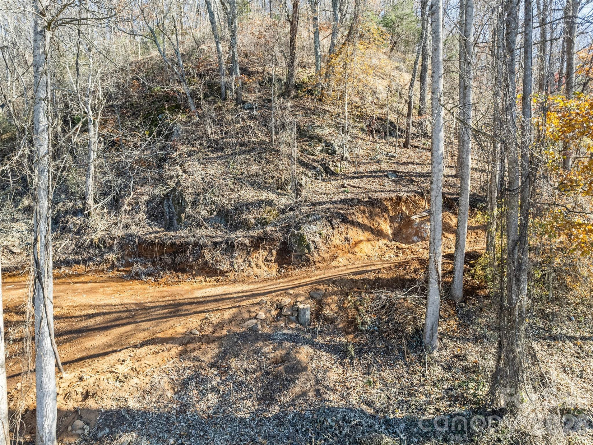 Tract 3: Lot 4 White Birch Drive - Photo 4