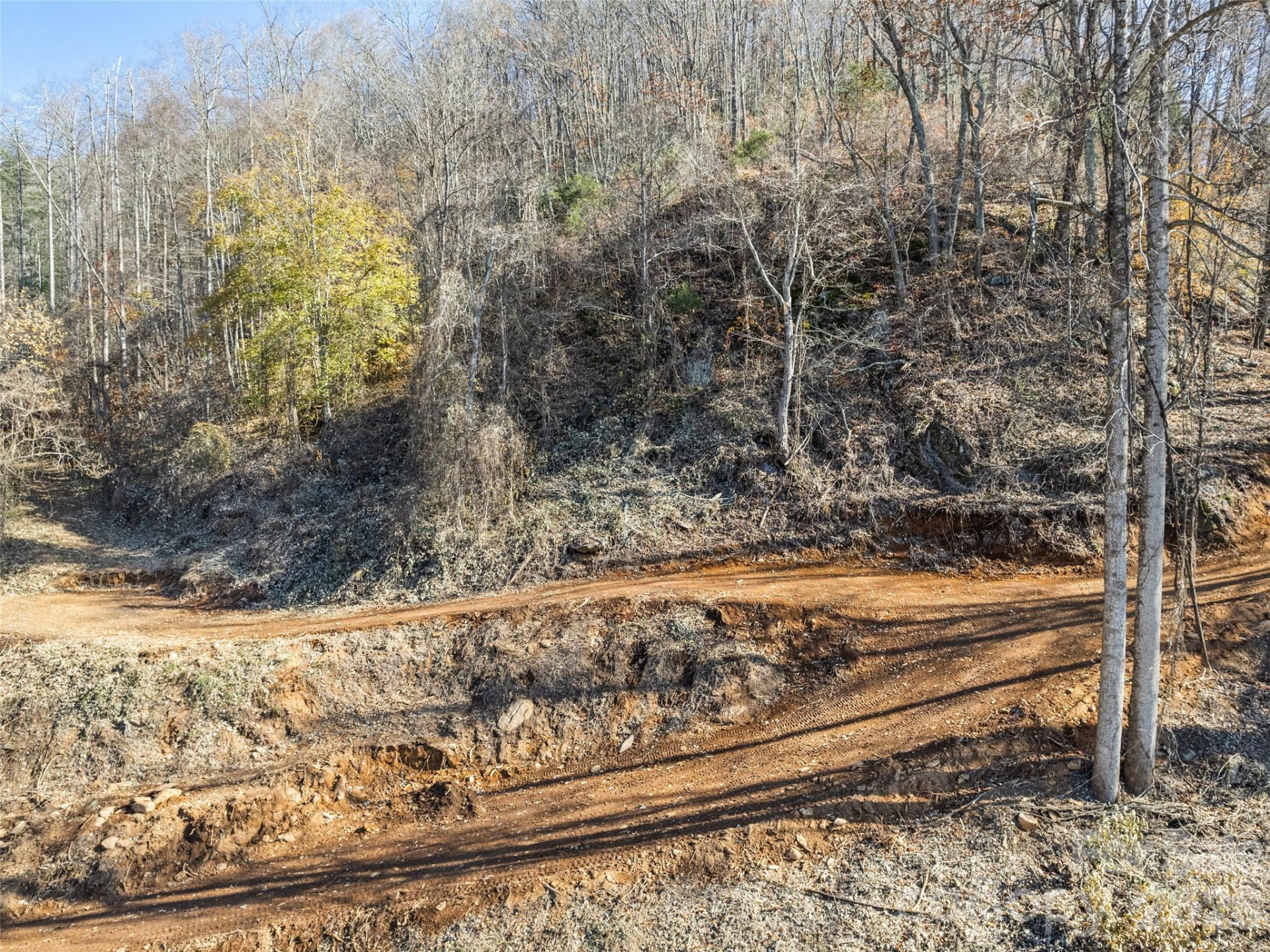 Tract 3: Lot 4 White Birch Drive - Photo 5