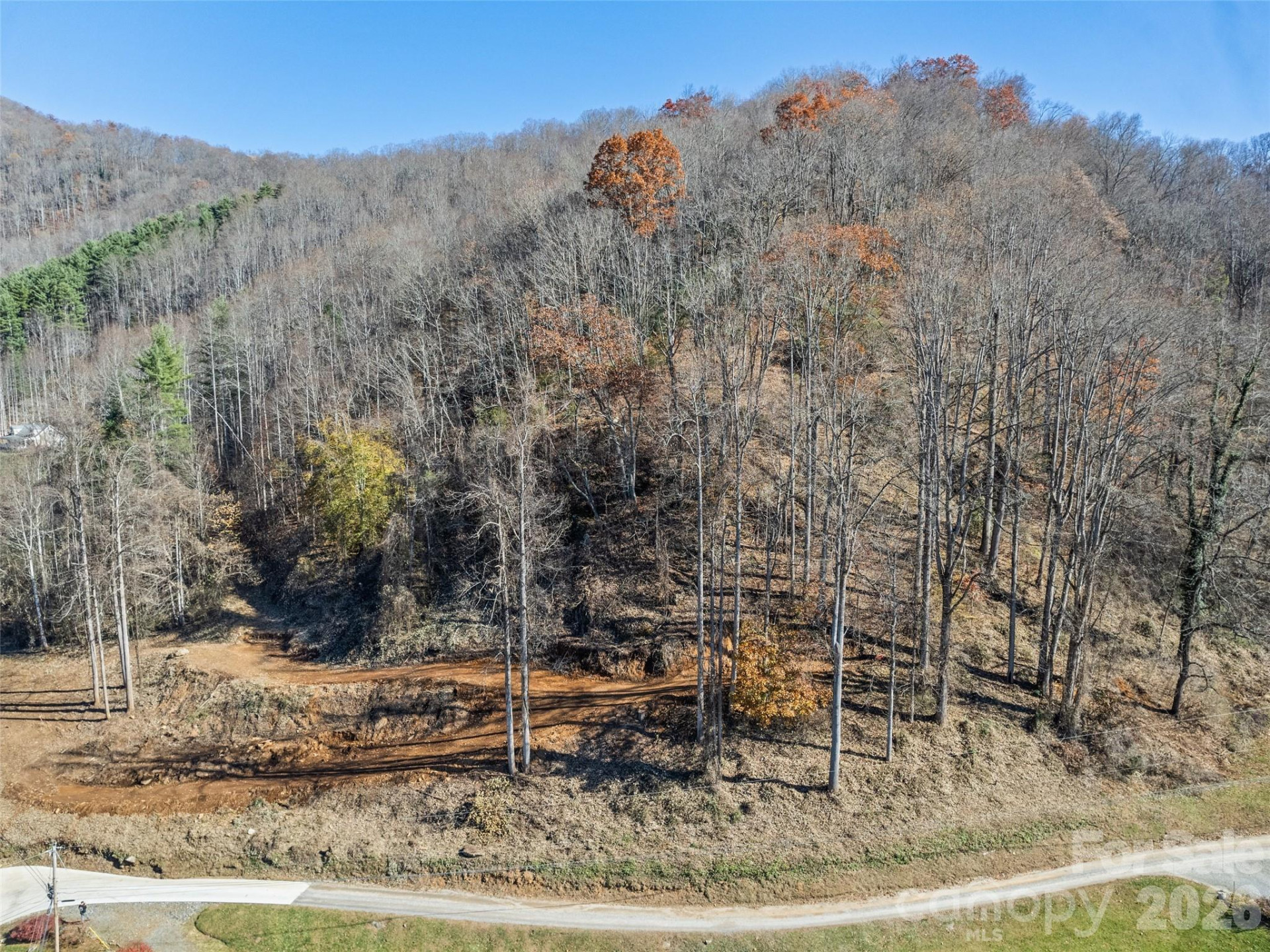 Tract 3: Lot 4 White Birch Drive - Photo 6