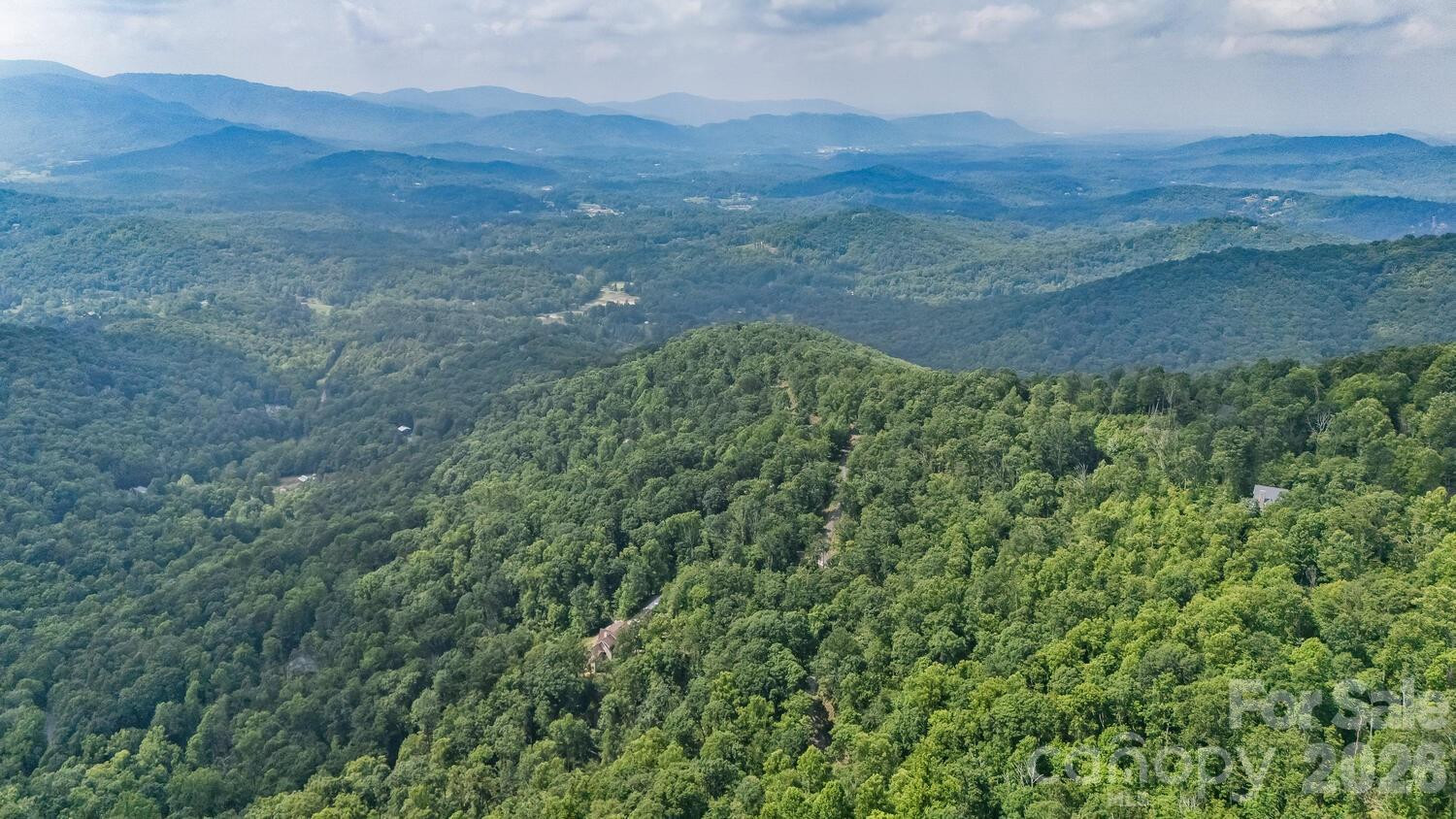 212 Chestnut Forest Road - Photo 8