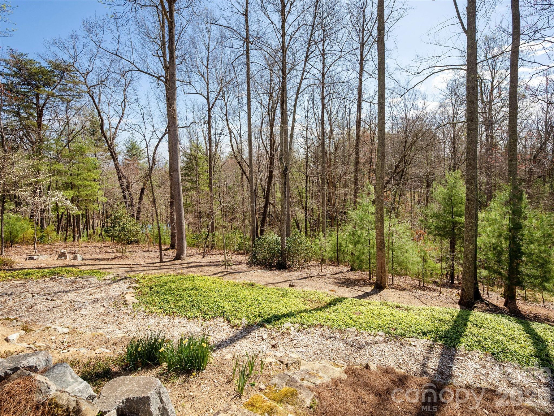 72 Dusky Court - Photo 39