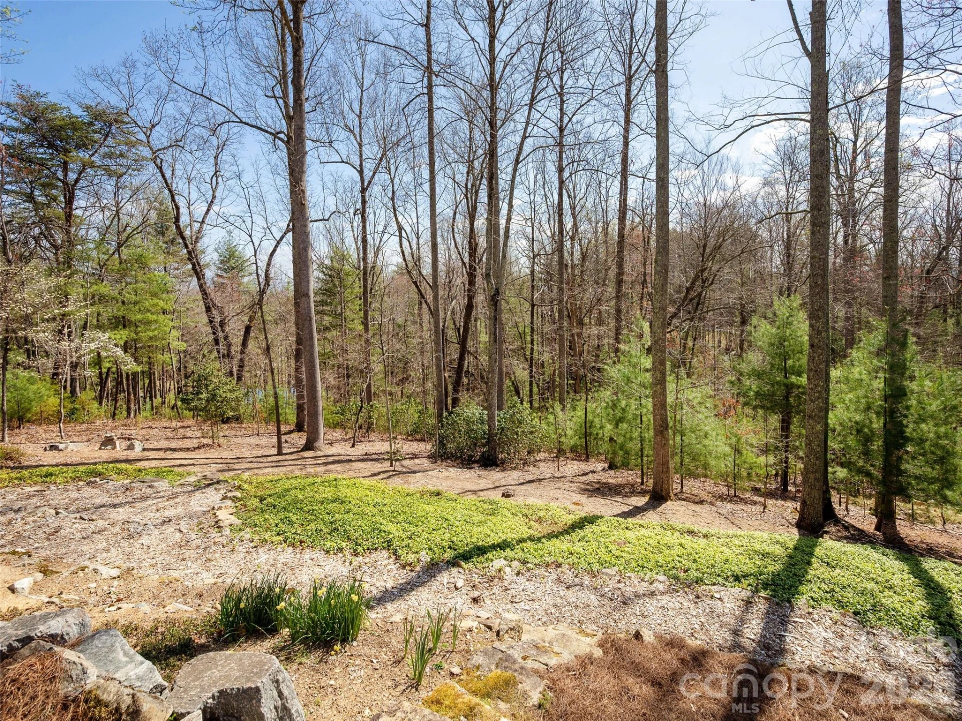 72 Dusky Court - Photo 39