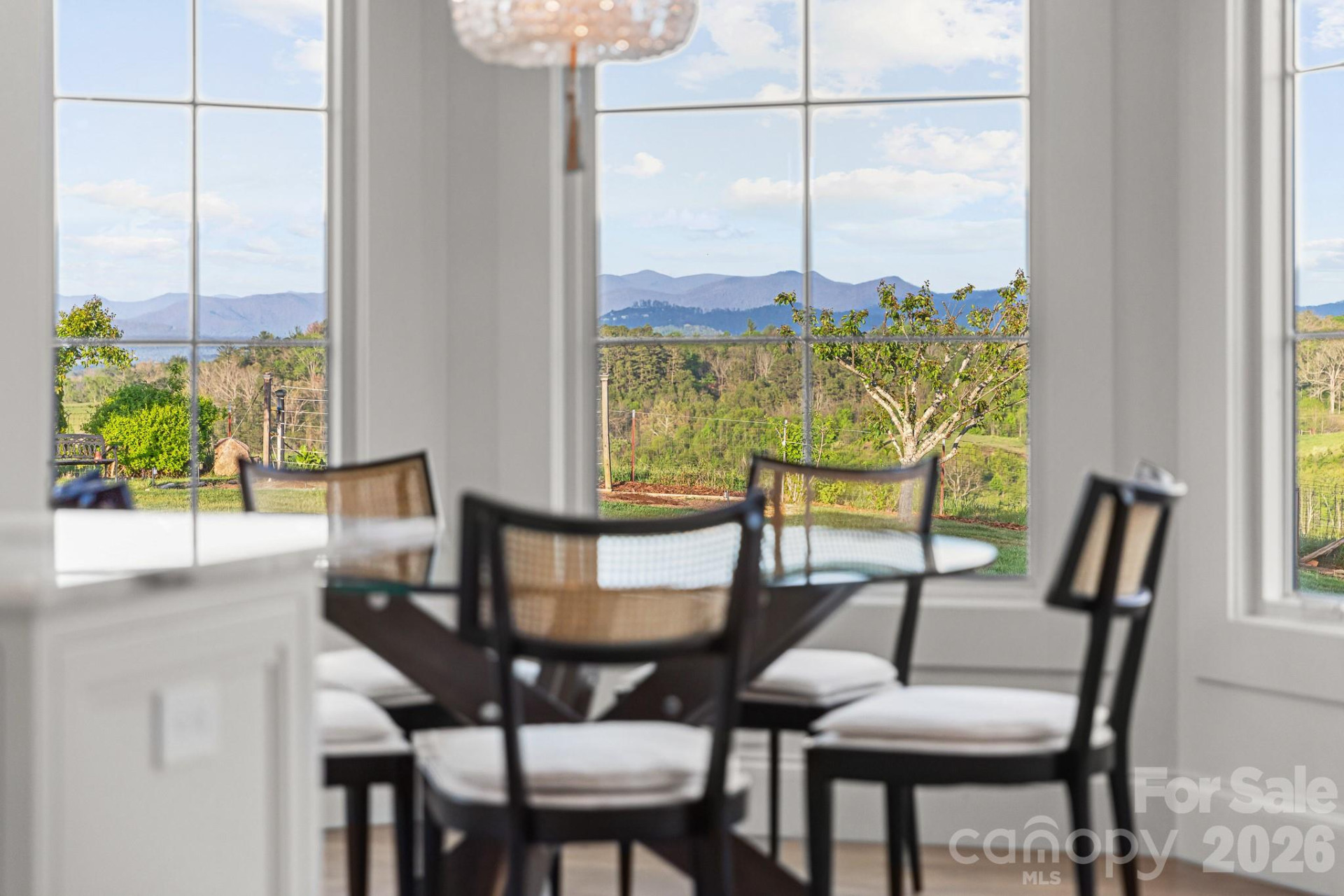 54 Mountain Shadows Drive - Photo 19