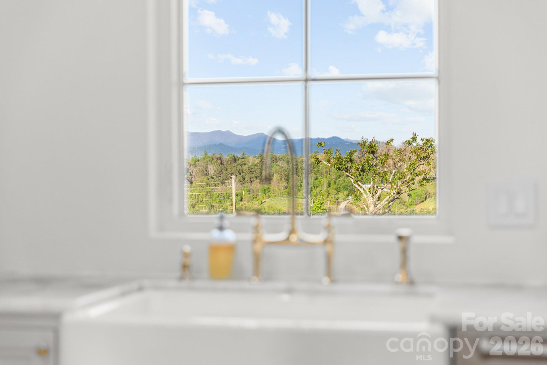 54 Mountain Shadows Drive - Photo 25