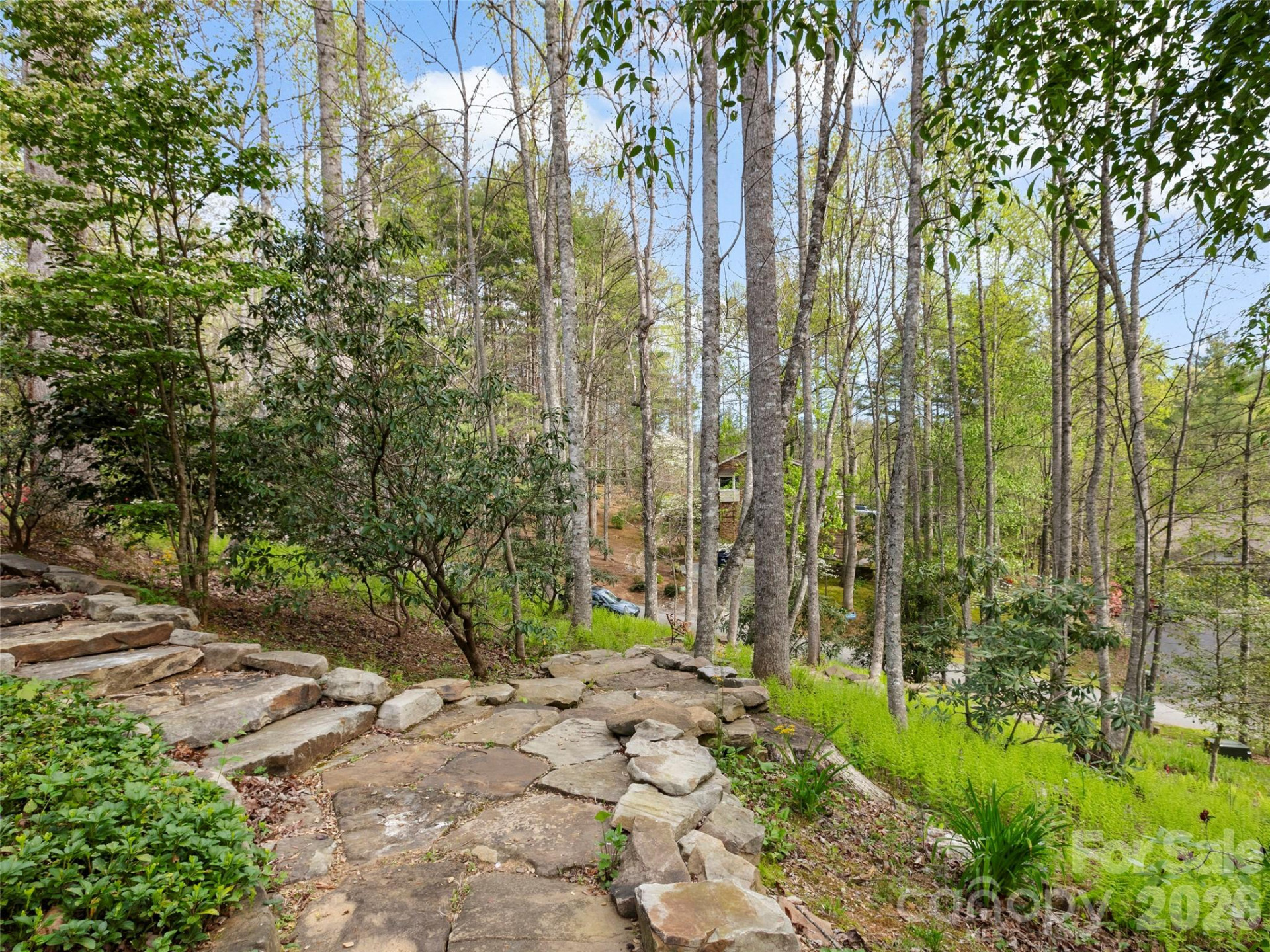 37 Hamilton Drive - Photo 9