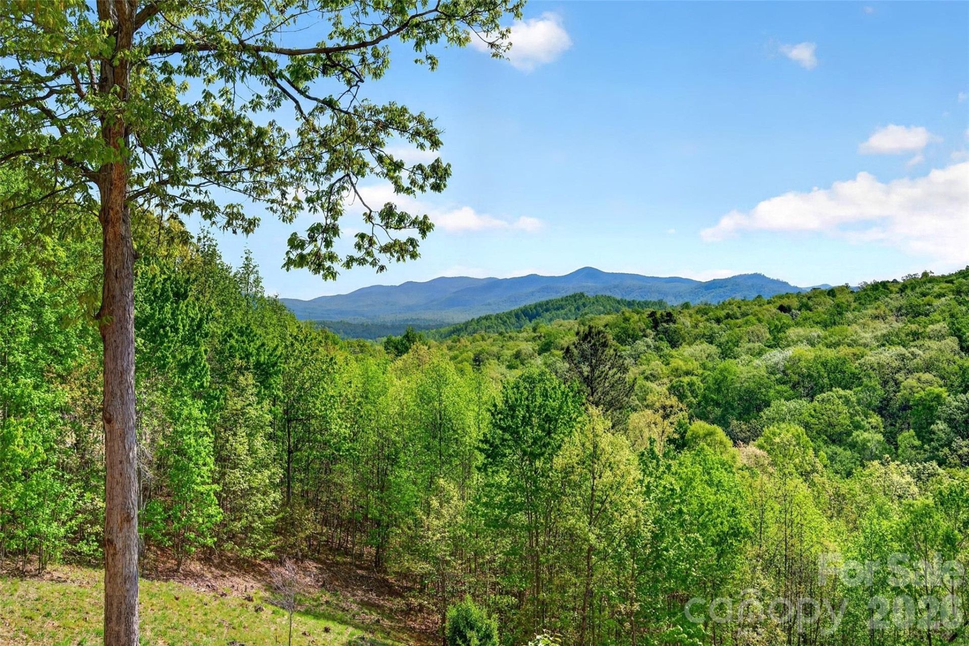 965 Grandview Peaks Drive - Photo 8