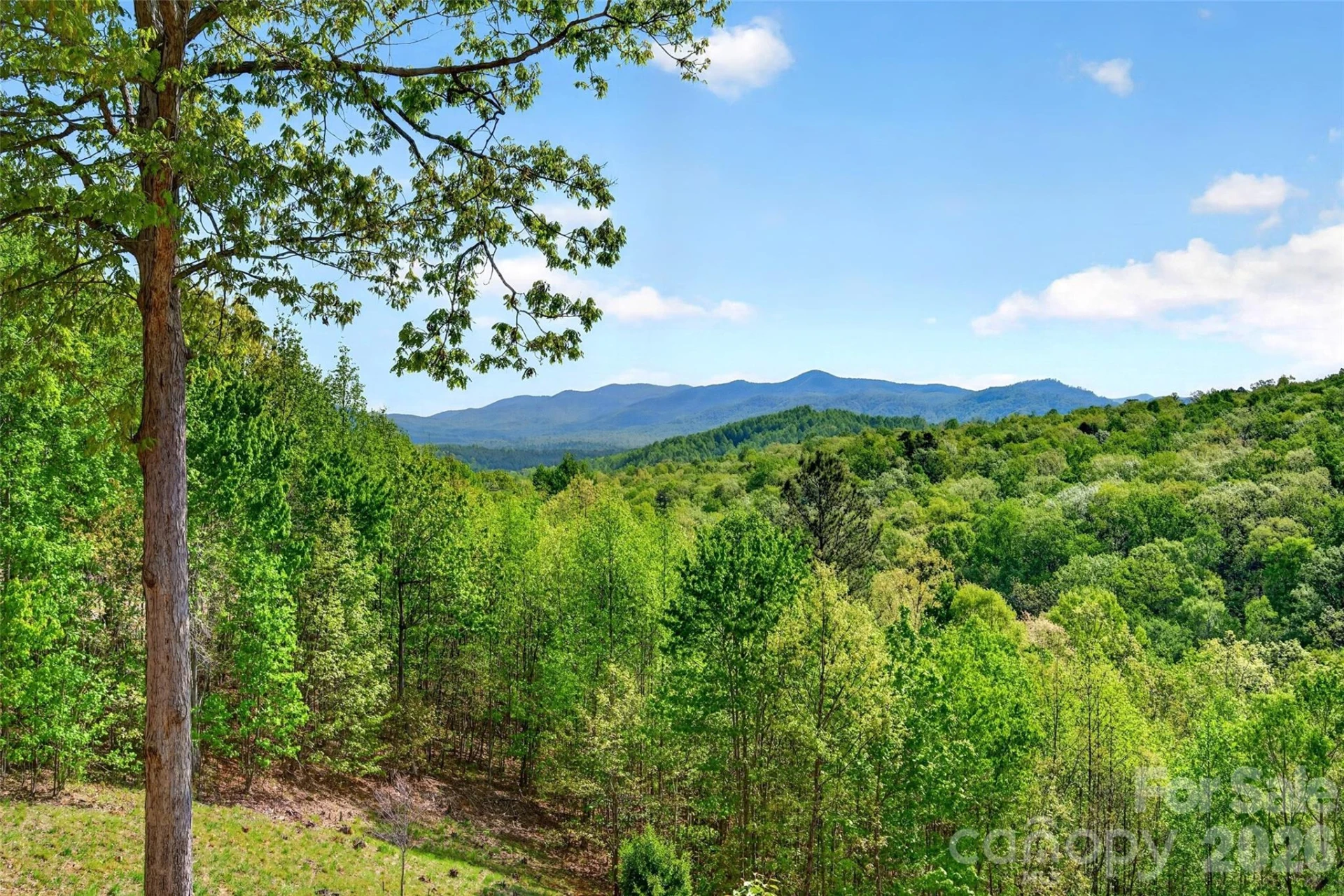 965 Grandview Peaks Drive - Photo 8