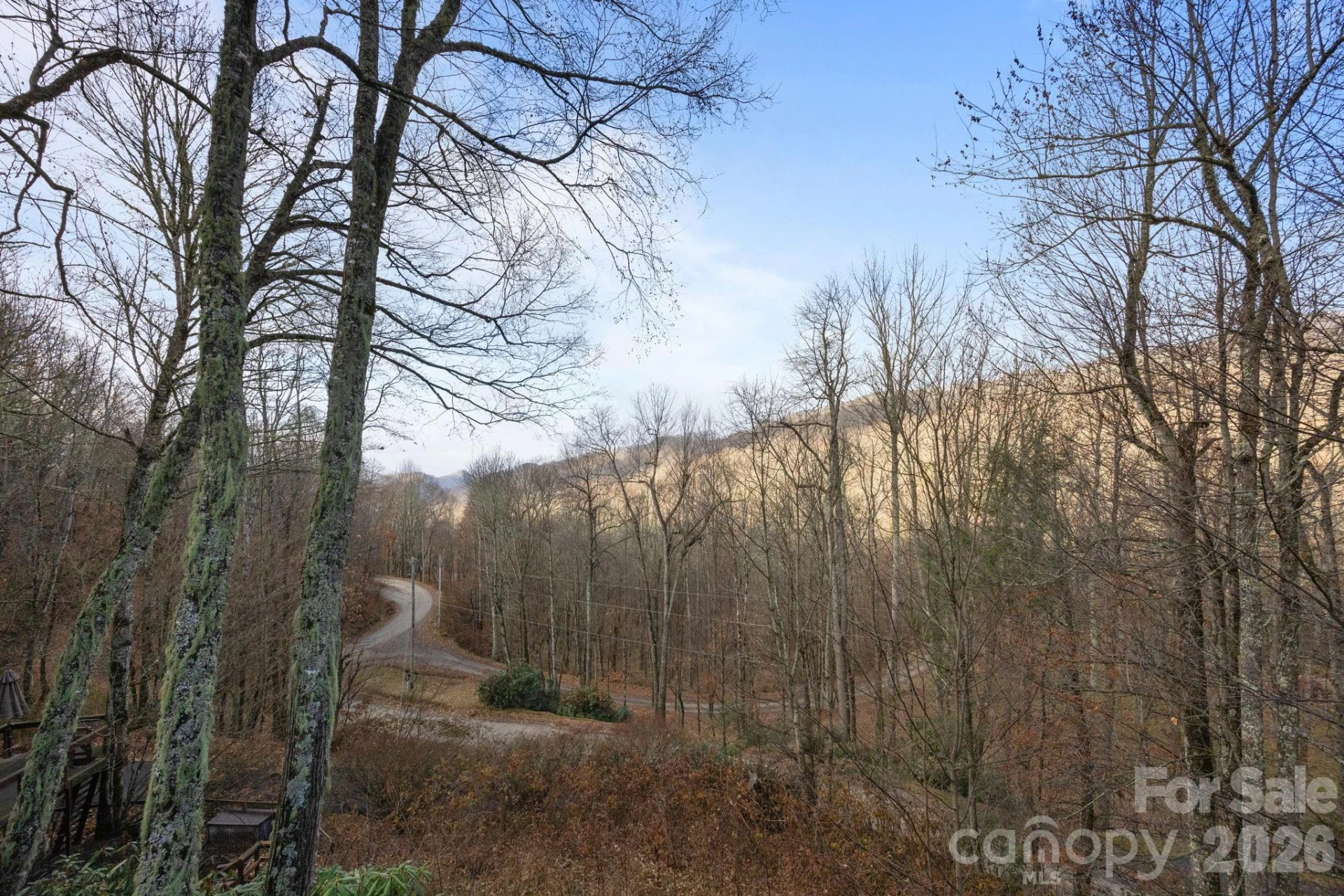 959 Plott Balsam Road - Photo 31