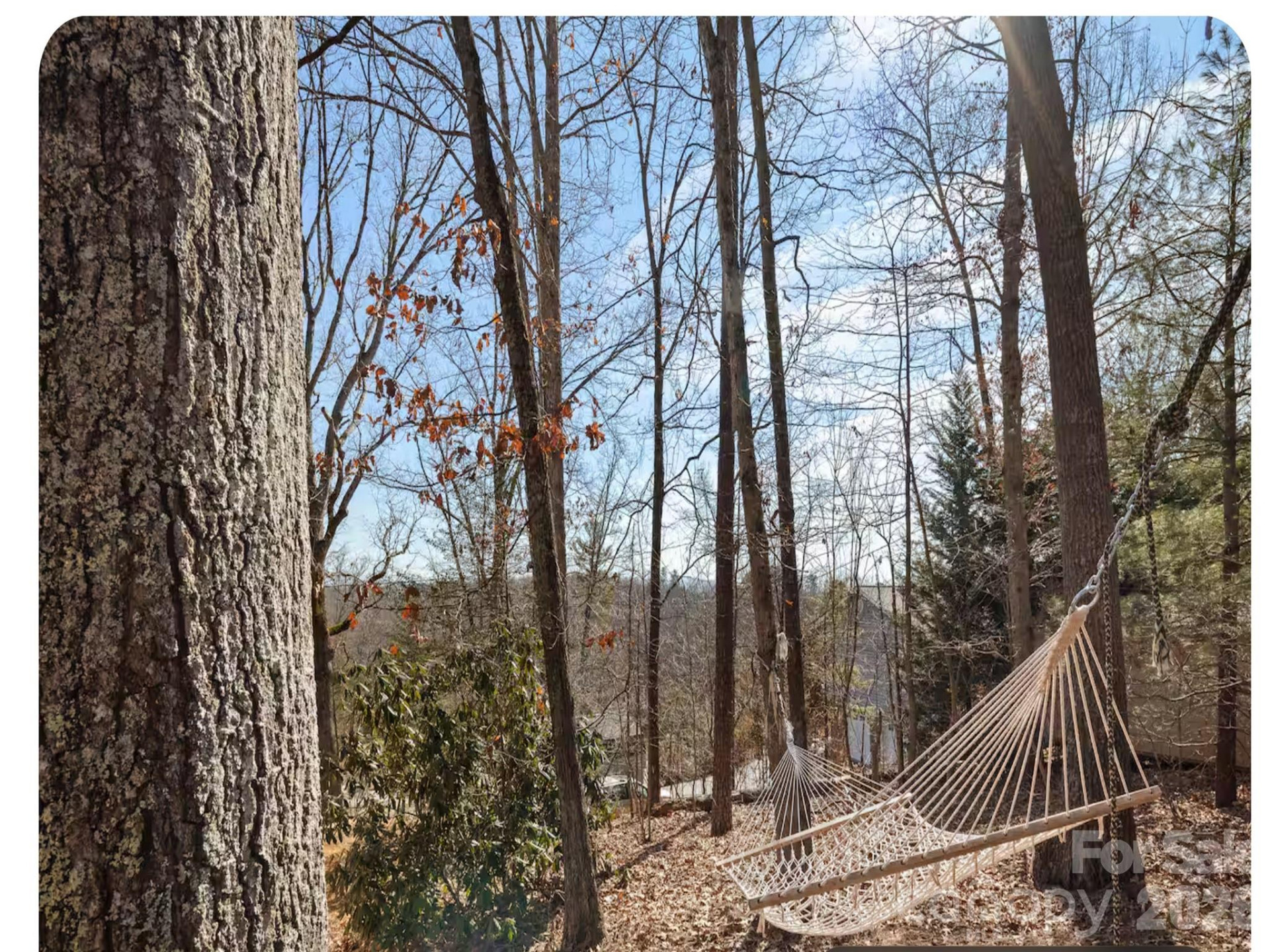 502 Long Shoals Road - Photo 21