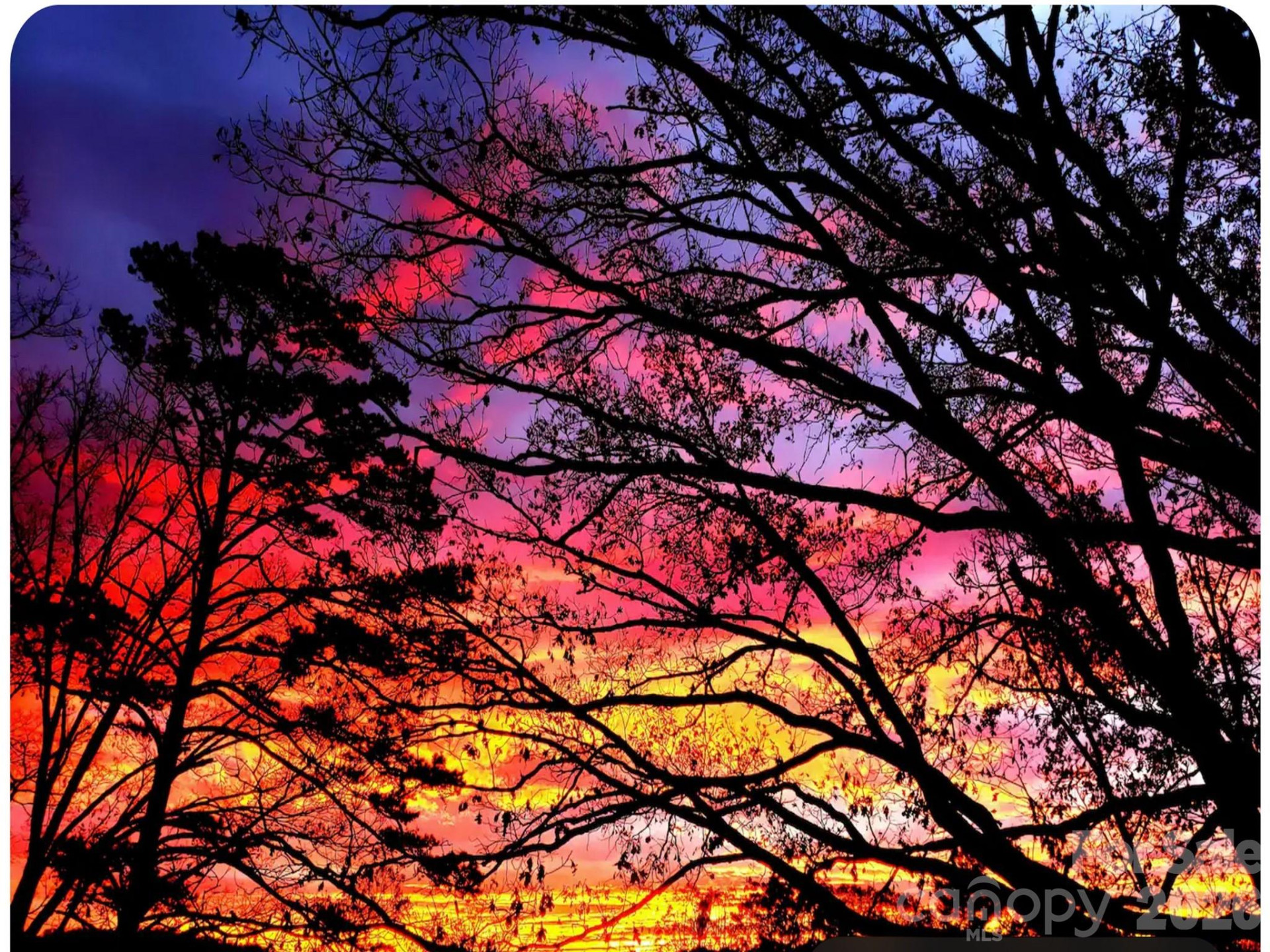 502 Long Shoals Road - Photo 23