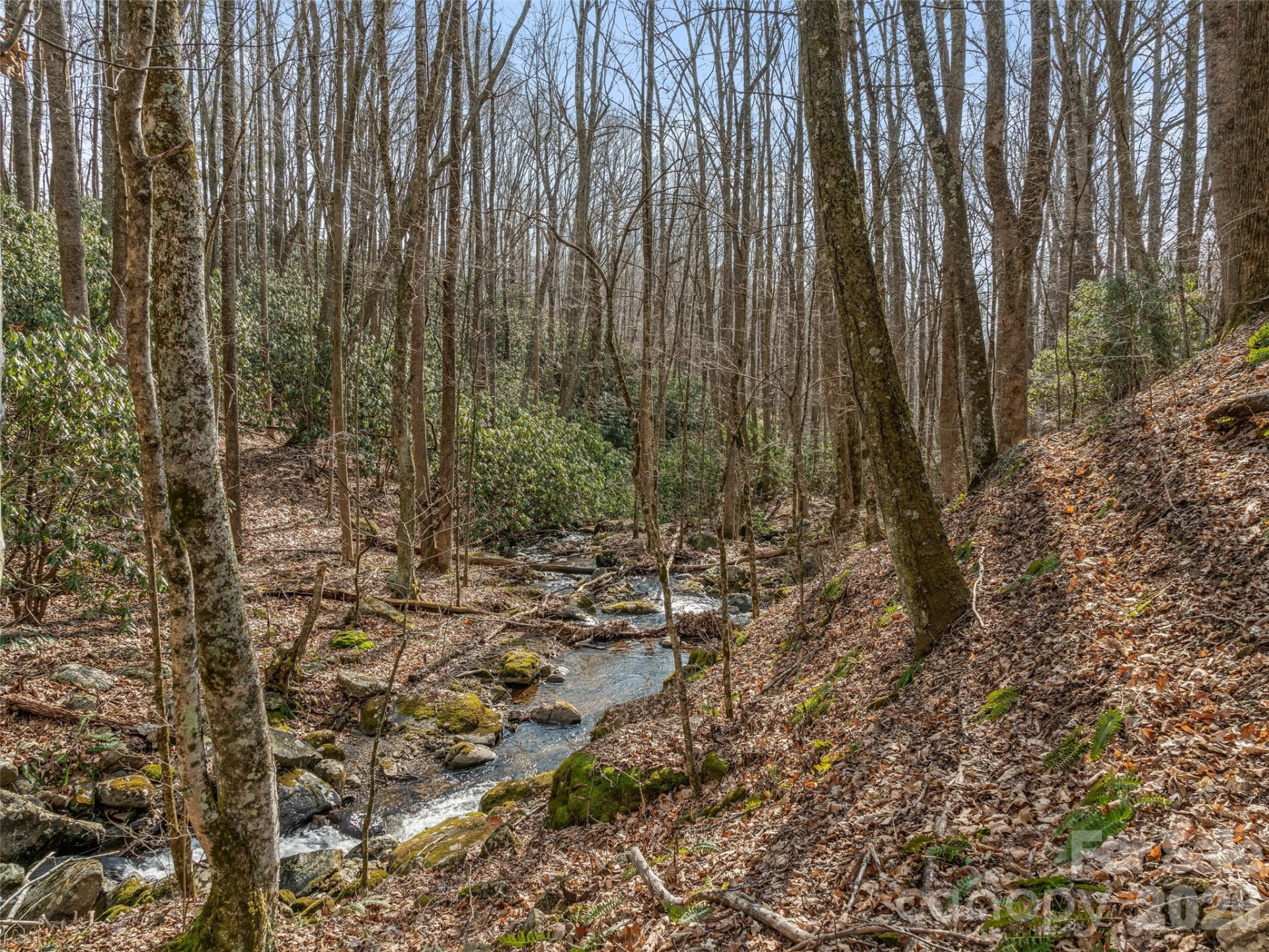 625 Cooke Town Road - Photo 11