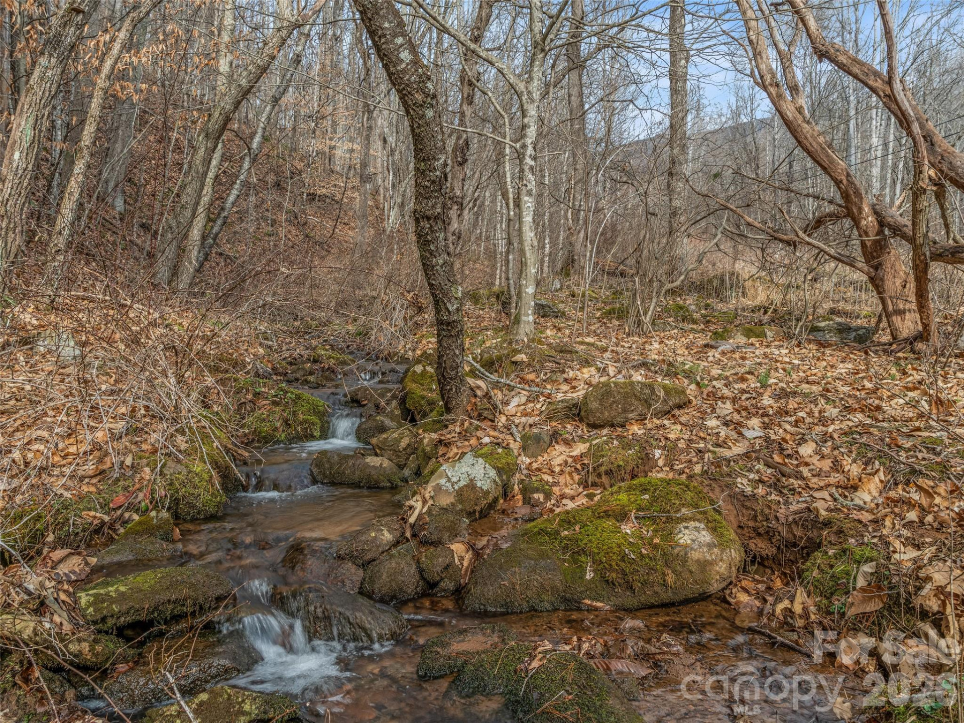 625 Cooke Town Road - Photo 12