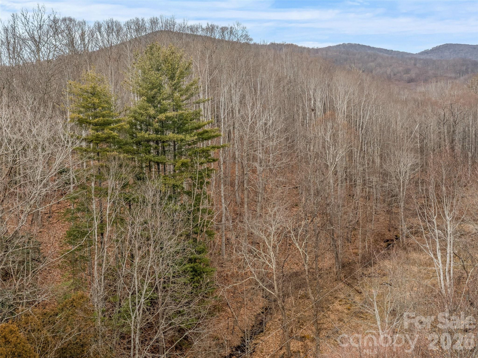 625 Cooke Town Road - Photo 13