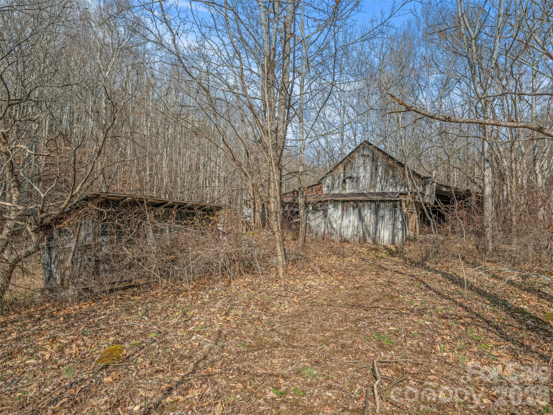 625 Cooke Town Road - Photo 16