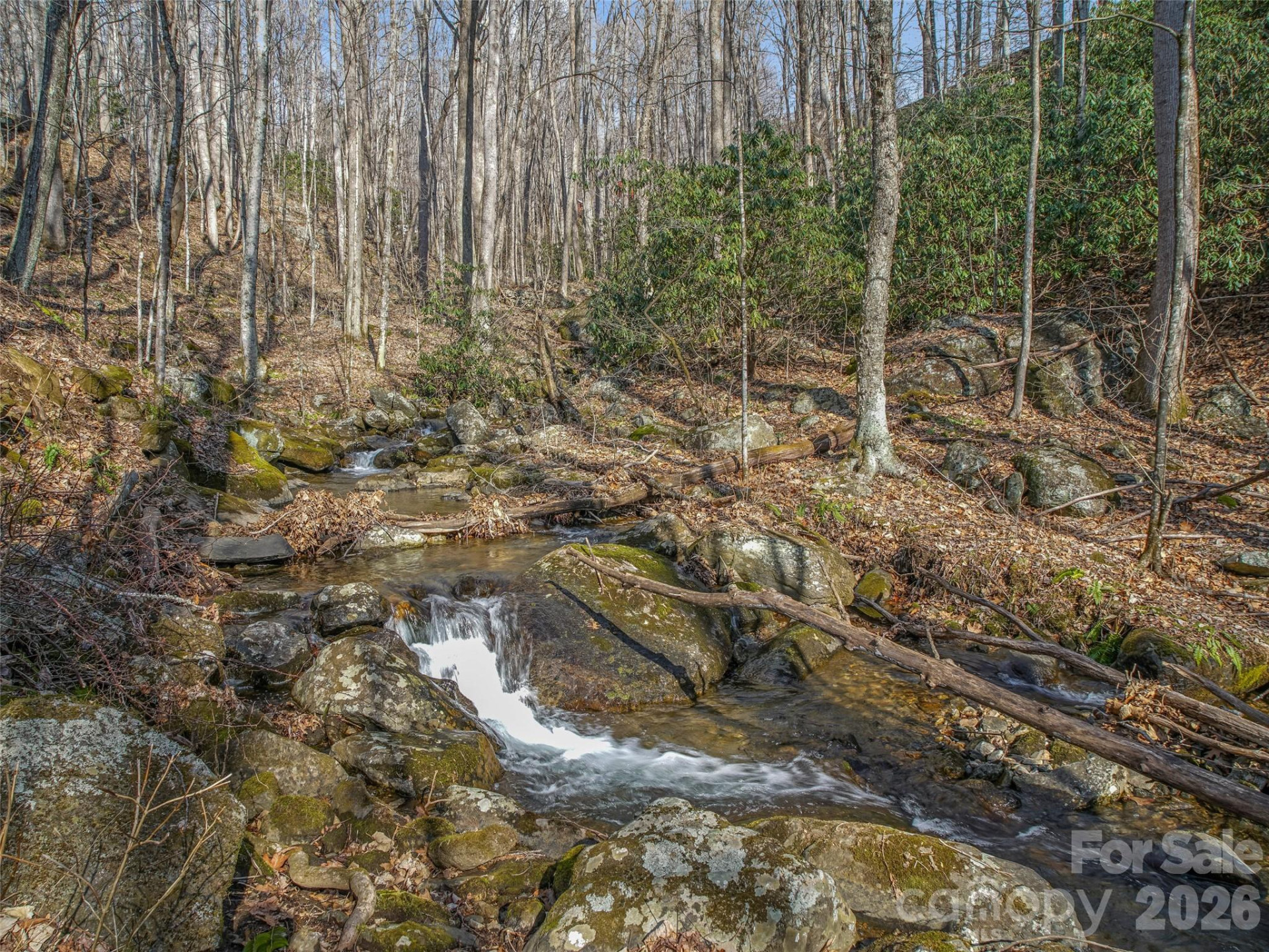 625 Cooke Town Road - Photo 35