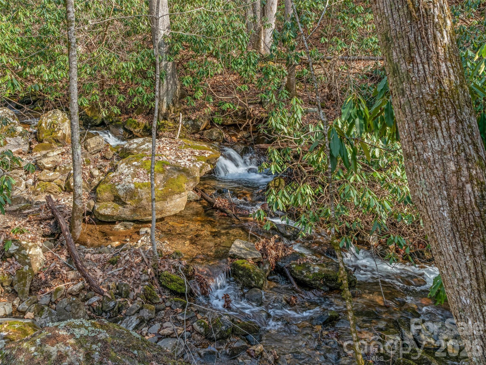 625 Cooke Town Road - Photo 36