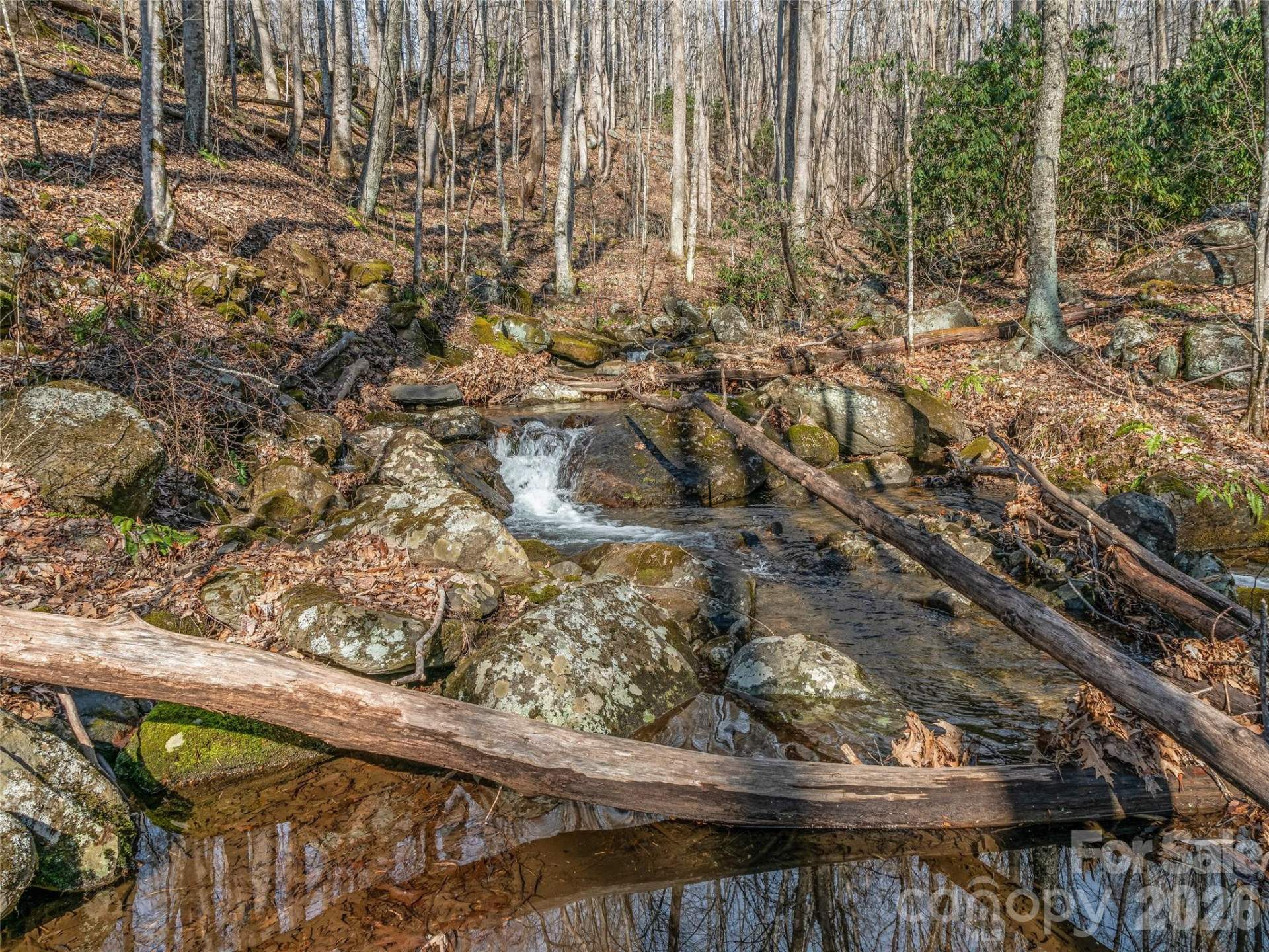 625 Cooke Town Road - Photo 8