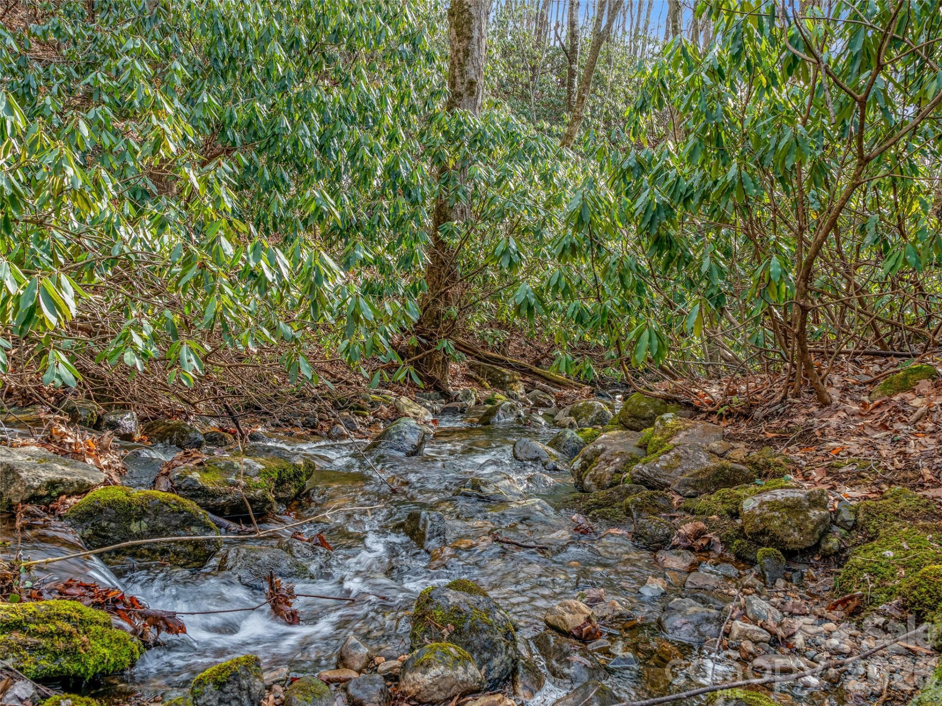 625 Cooke Town Road - Photo 9