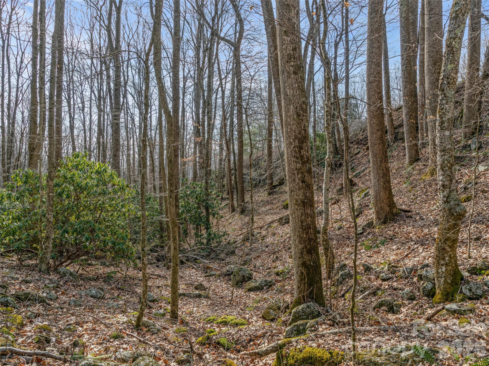 625 Cooke Town Road - Photo 10