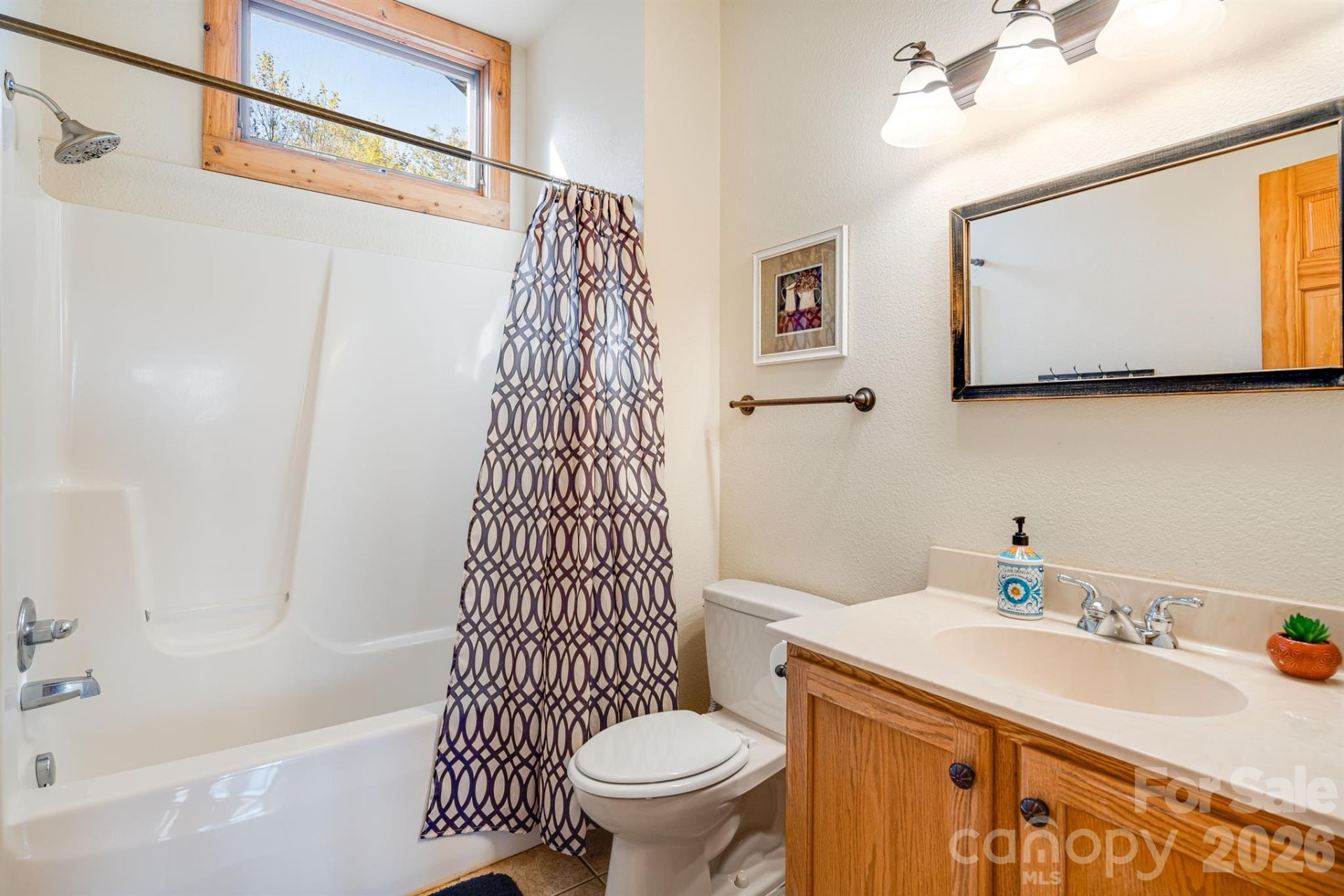 121 Scenic Wolf Drive - Photo 19