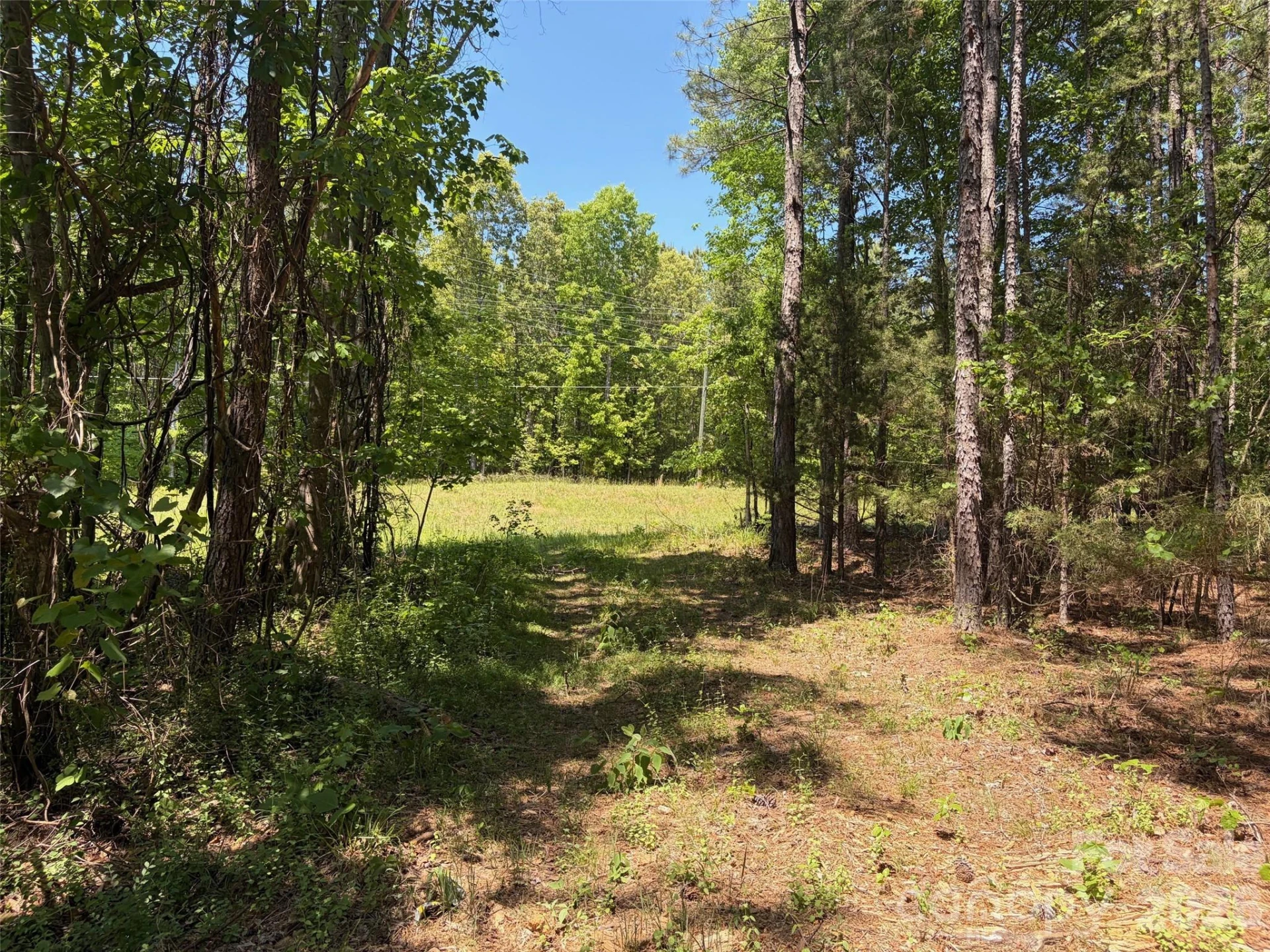 2607 Lockhart Highway