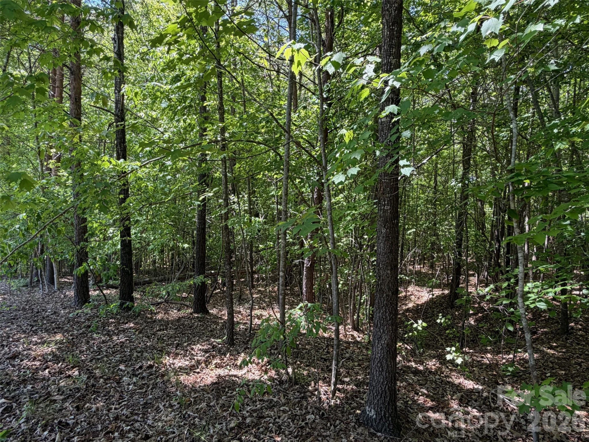 2607 Lockhart Highway - Photo 11