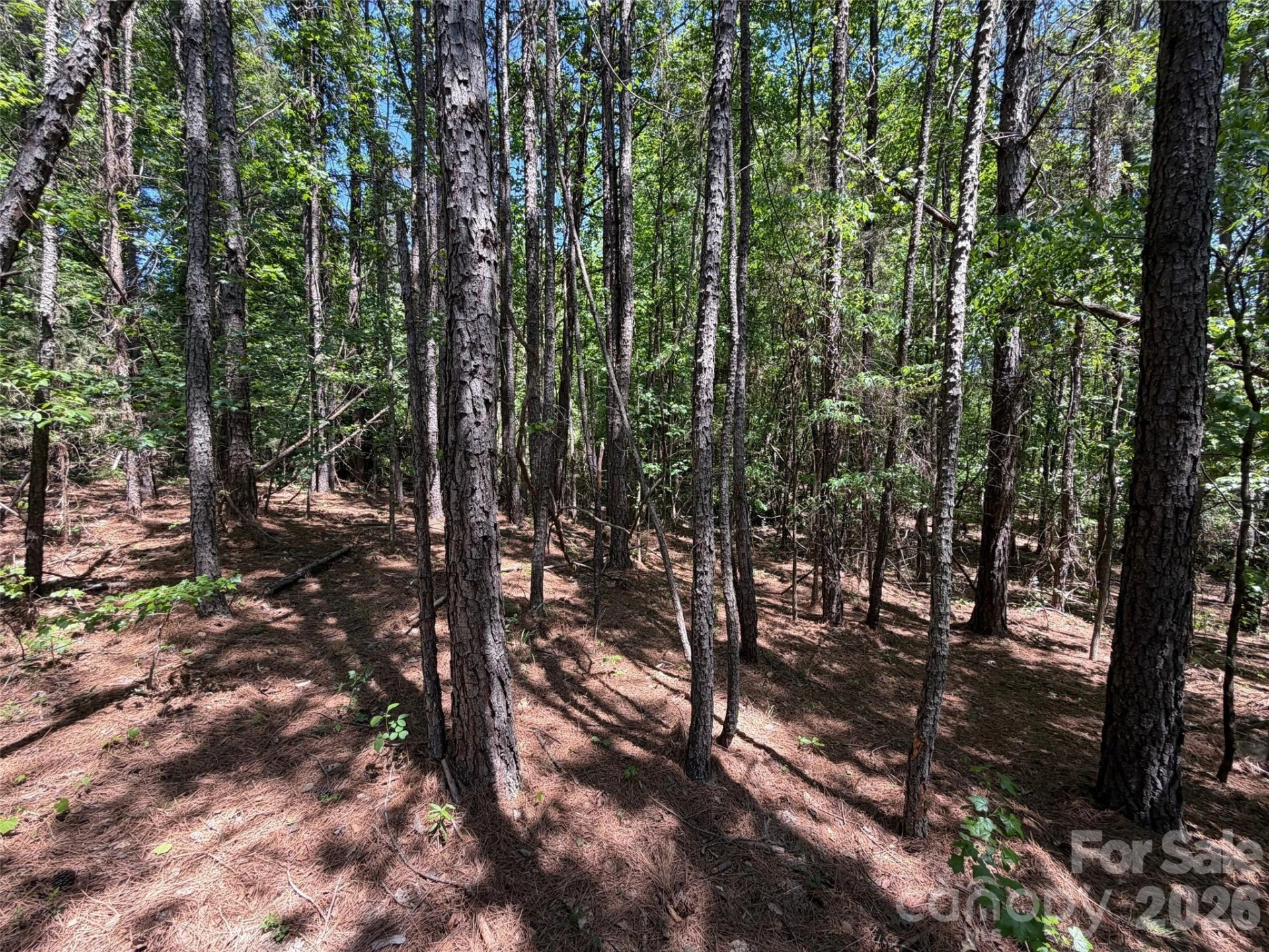 2607 Lockhart Highway - Photo 12