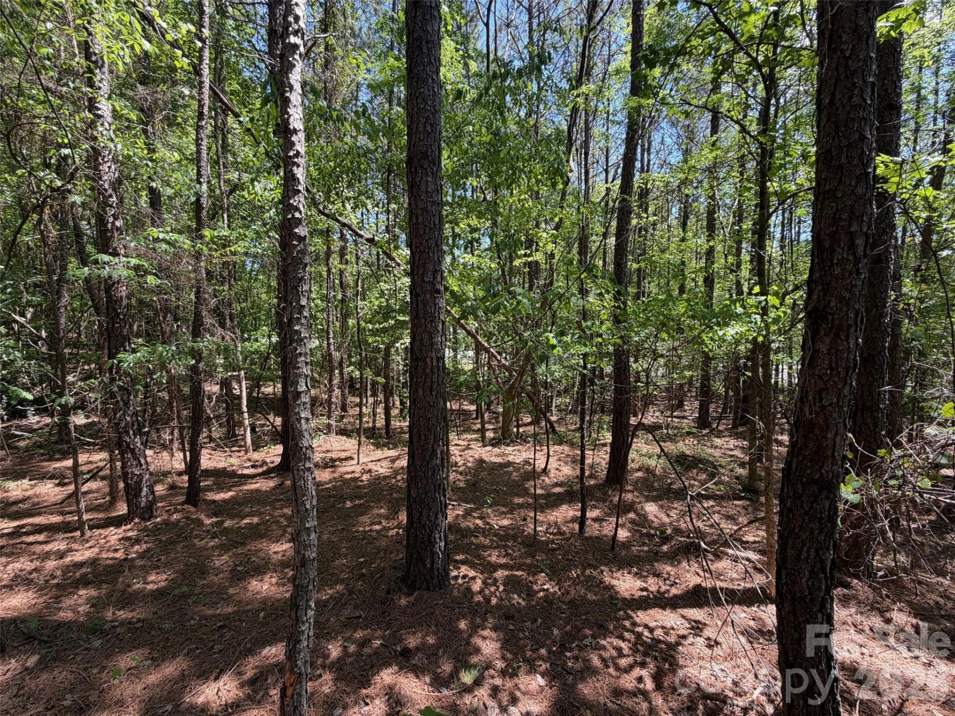 2607 Lockhart Highway - Photo 13