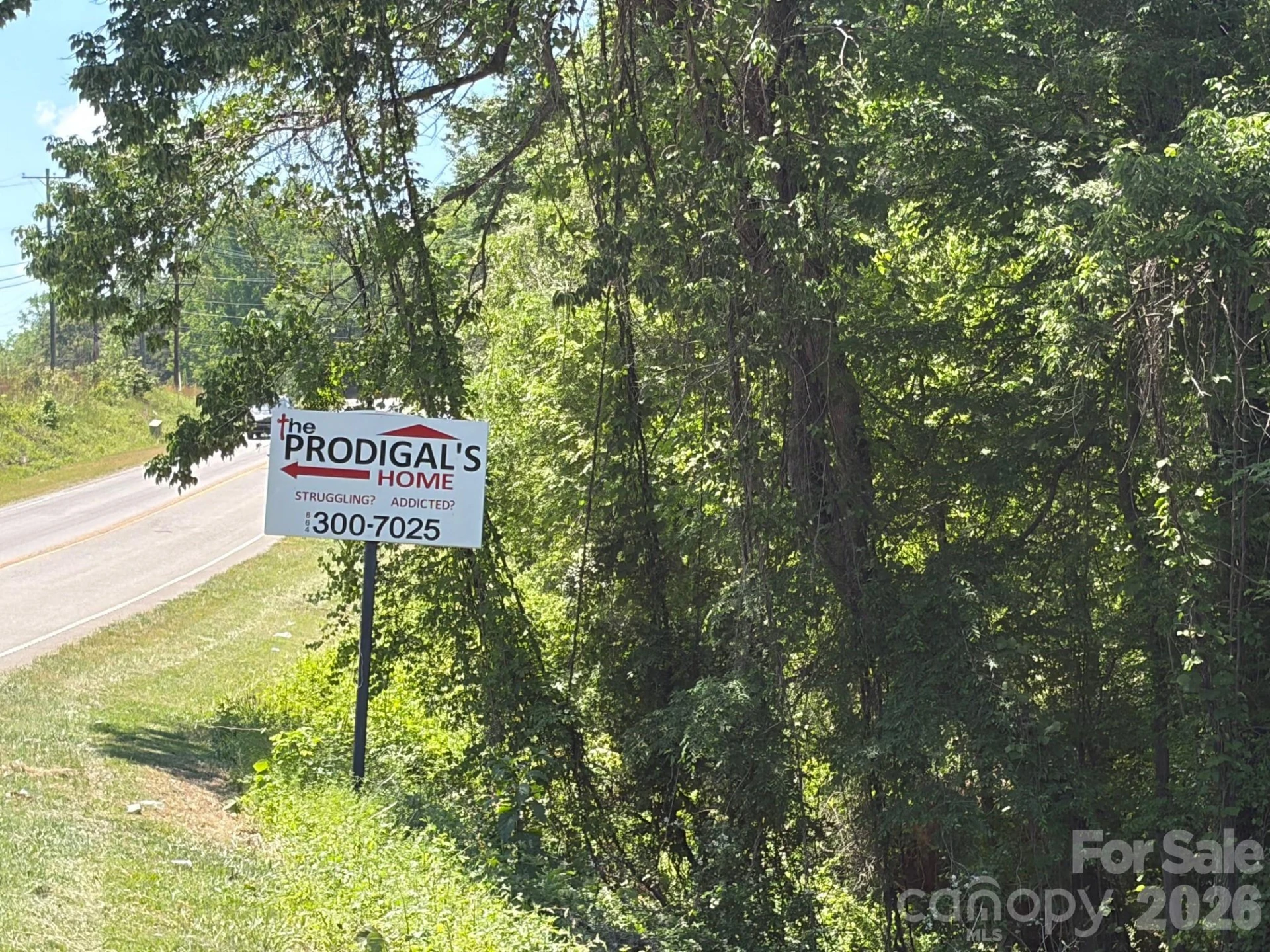 2607 Lockhart Highway - Photo 19