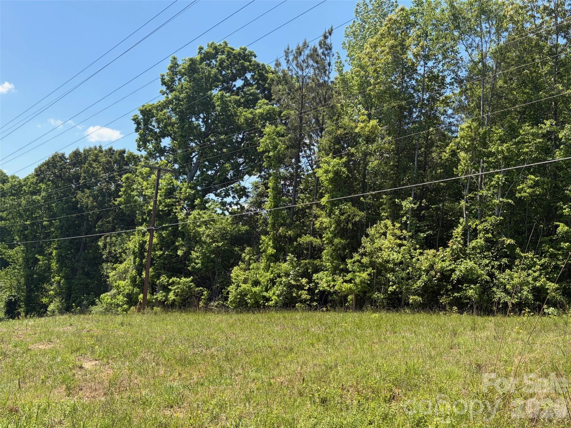 2607 Lockhart Highway - Photo 4