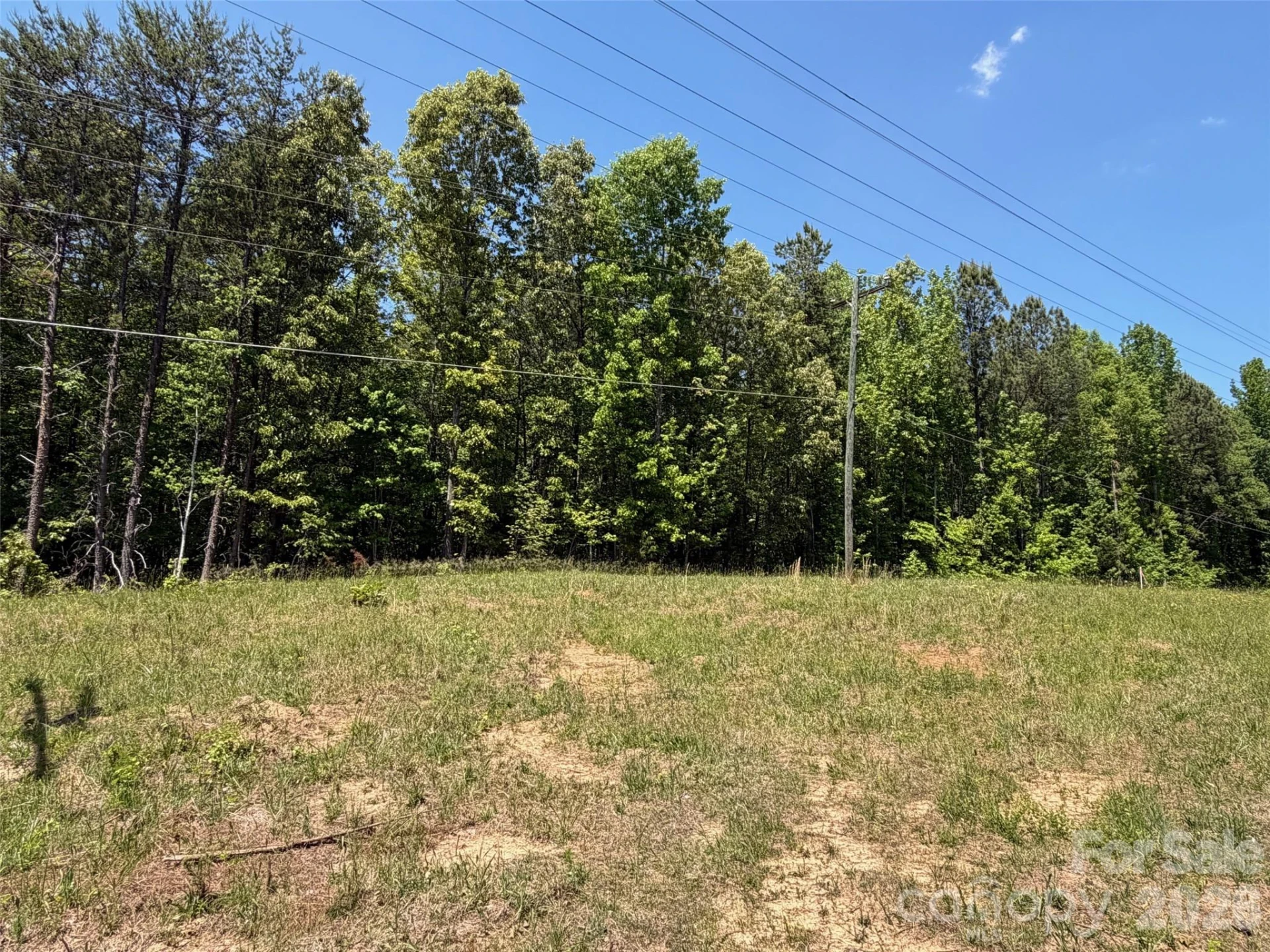 2607 Lockhart Highway - Photo 5