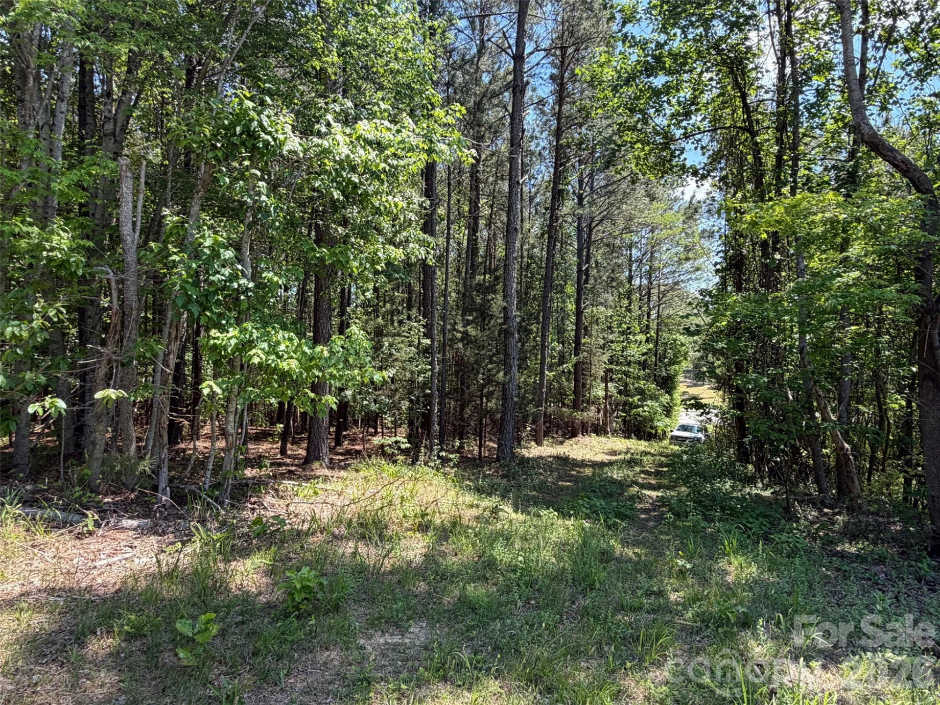 2607 Lockhart Highway - Photo 6