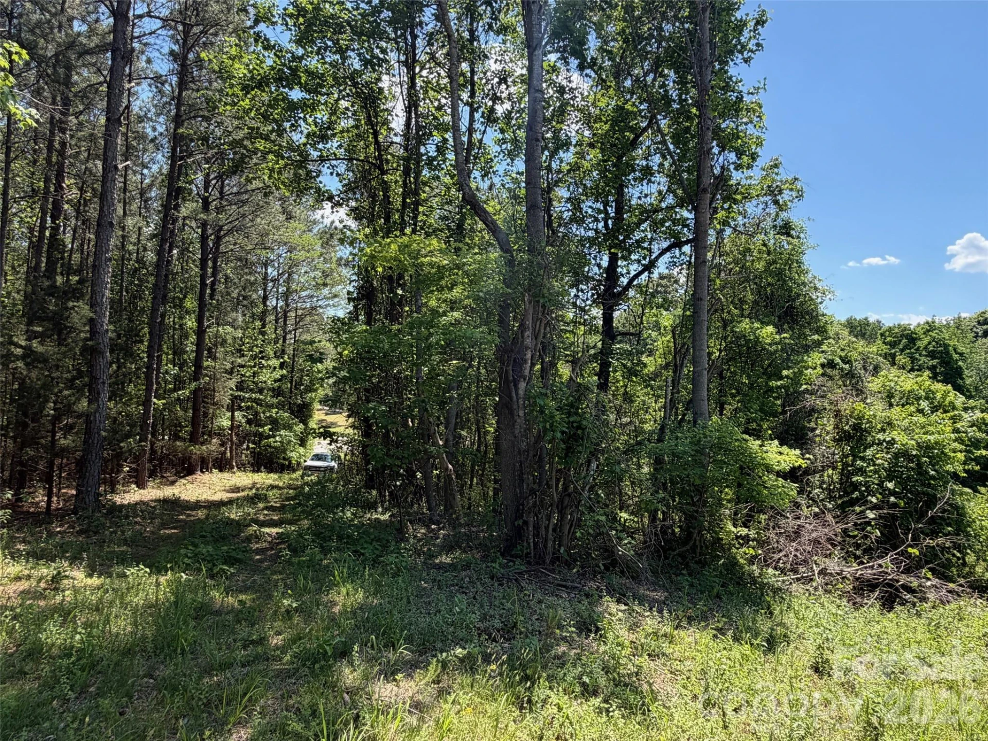 2607 Lockhart Highway - Photo 7