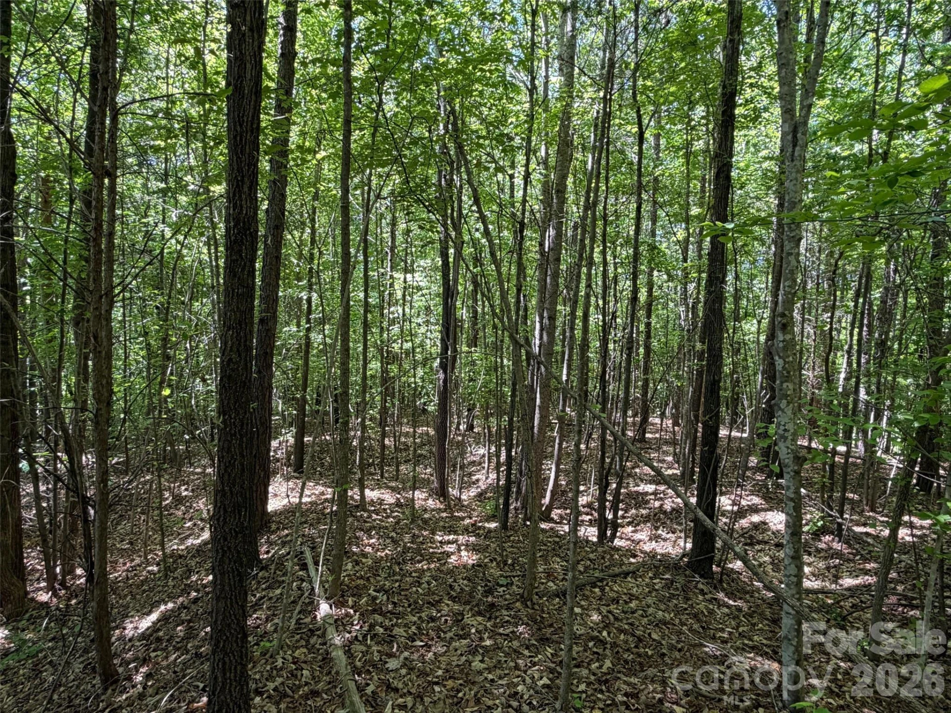 2607 Lockhart Highway - Photo 8