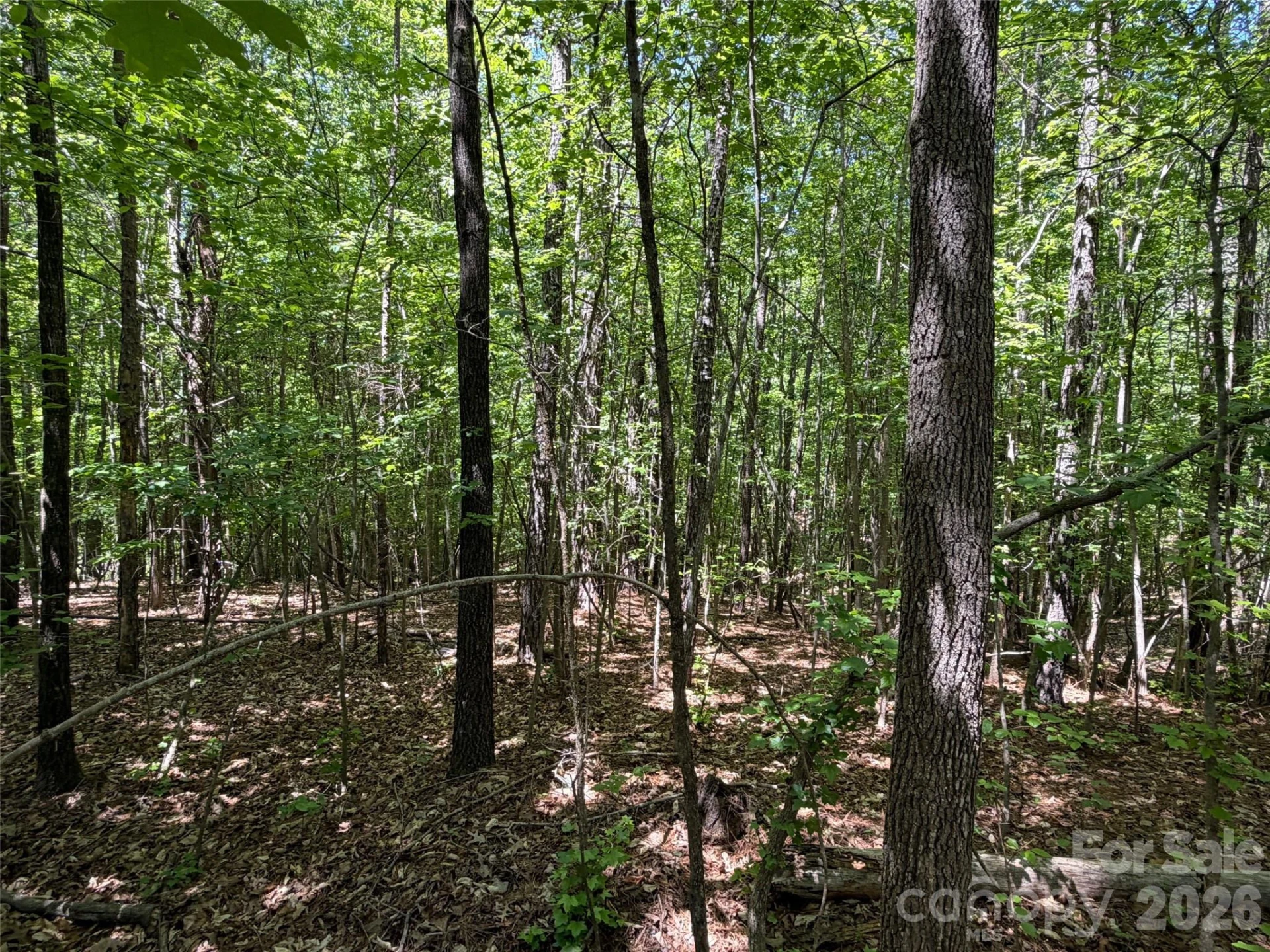 2607 Lockhart Highway - Photo 9