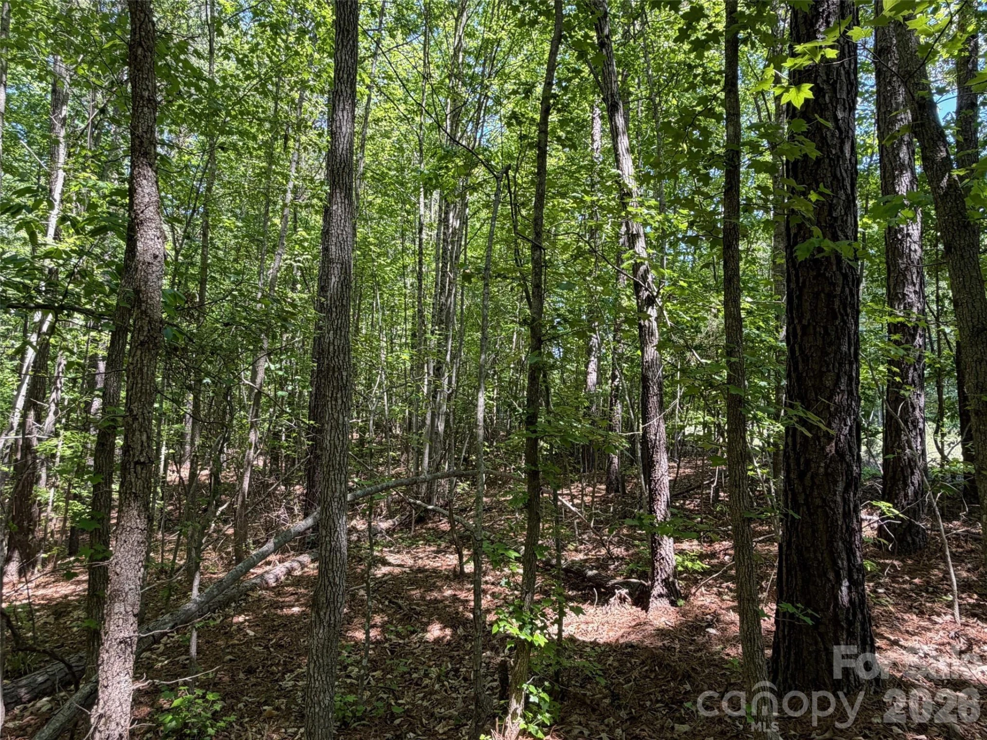 2607 Lockhart Highway - Photo 10