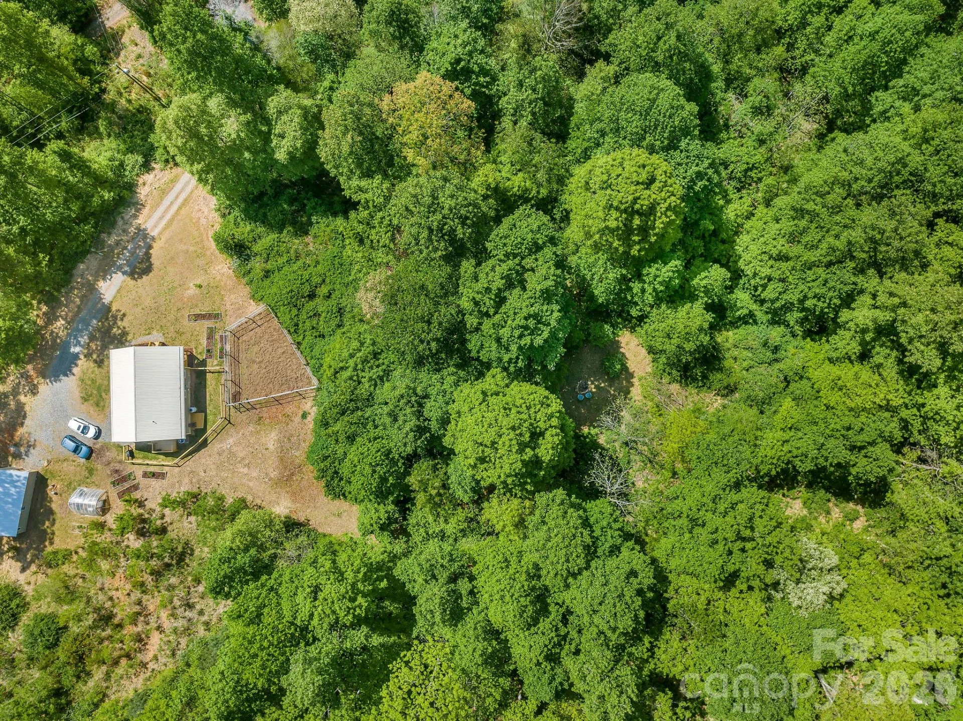 274 Poverty Branch Road #2 - Photo 19