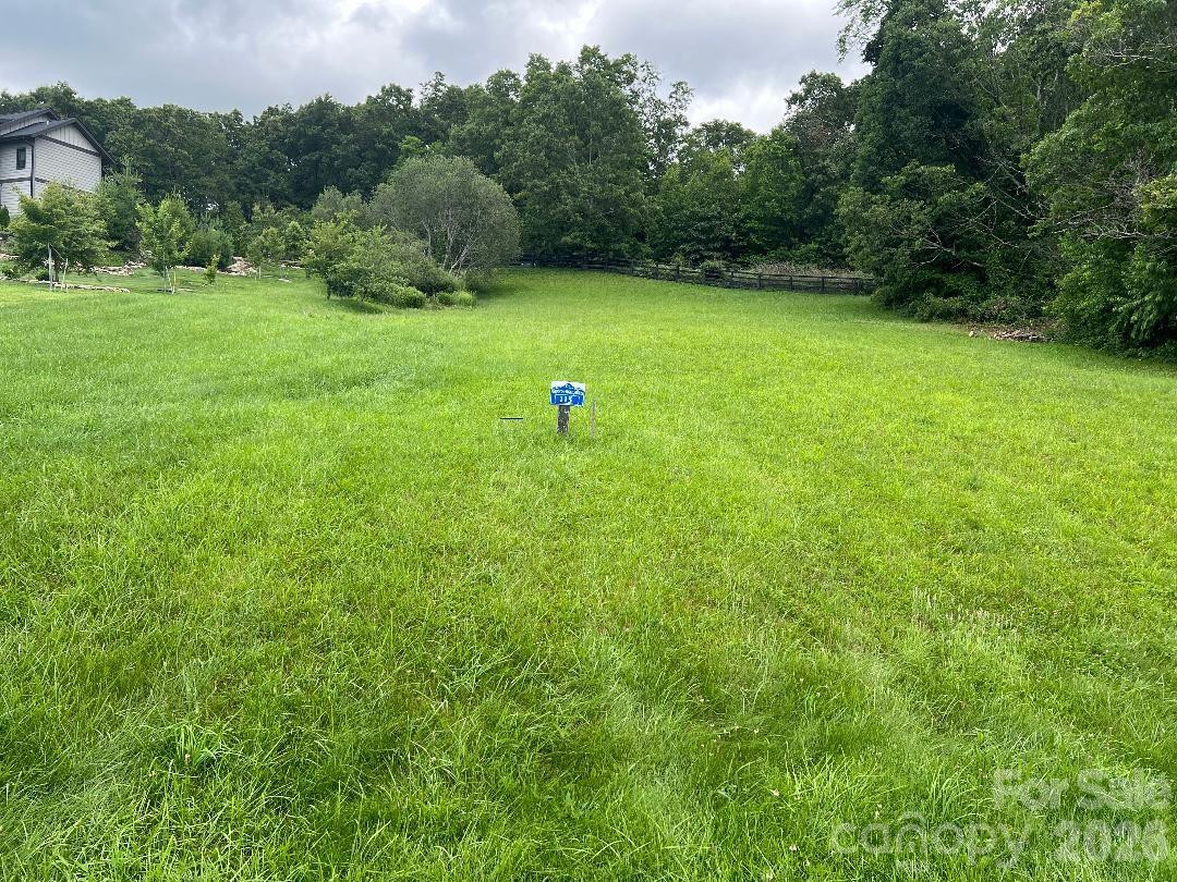 4642 Bearwallow Road - Photo 25