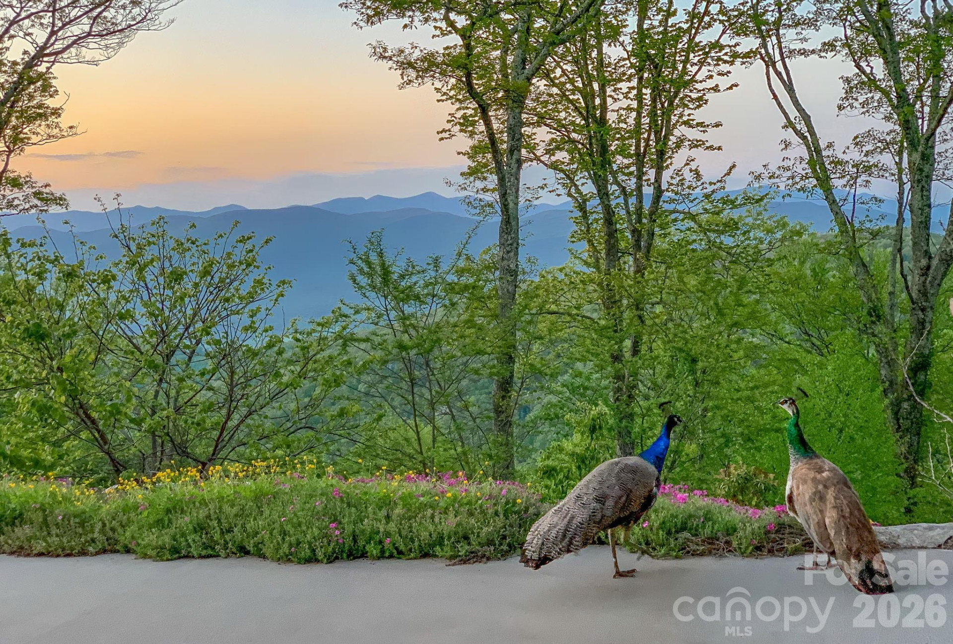 4642 Bearwallow Road - Photo 3