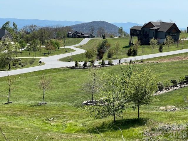 4642 Bearwallow Road - Photo 28