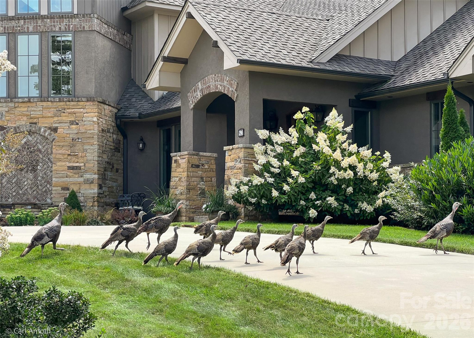 4642 Bearwallow Road - Photo 5