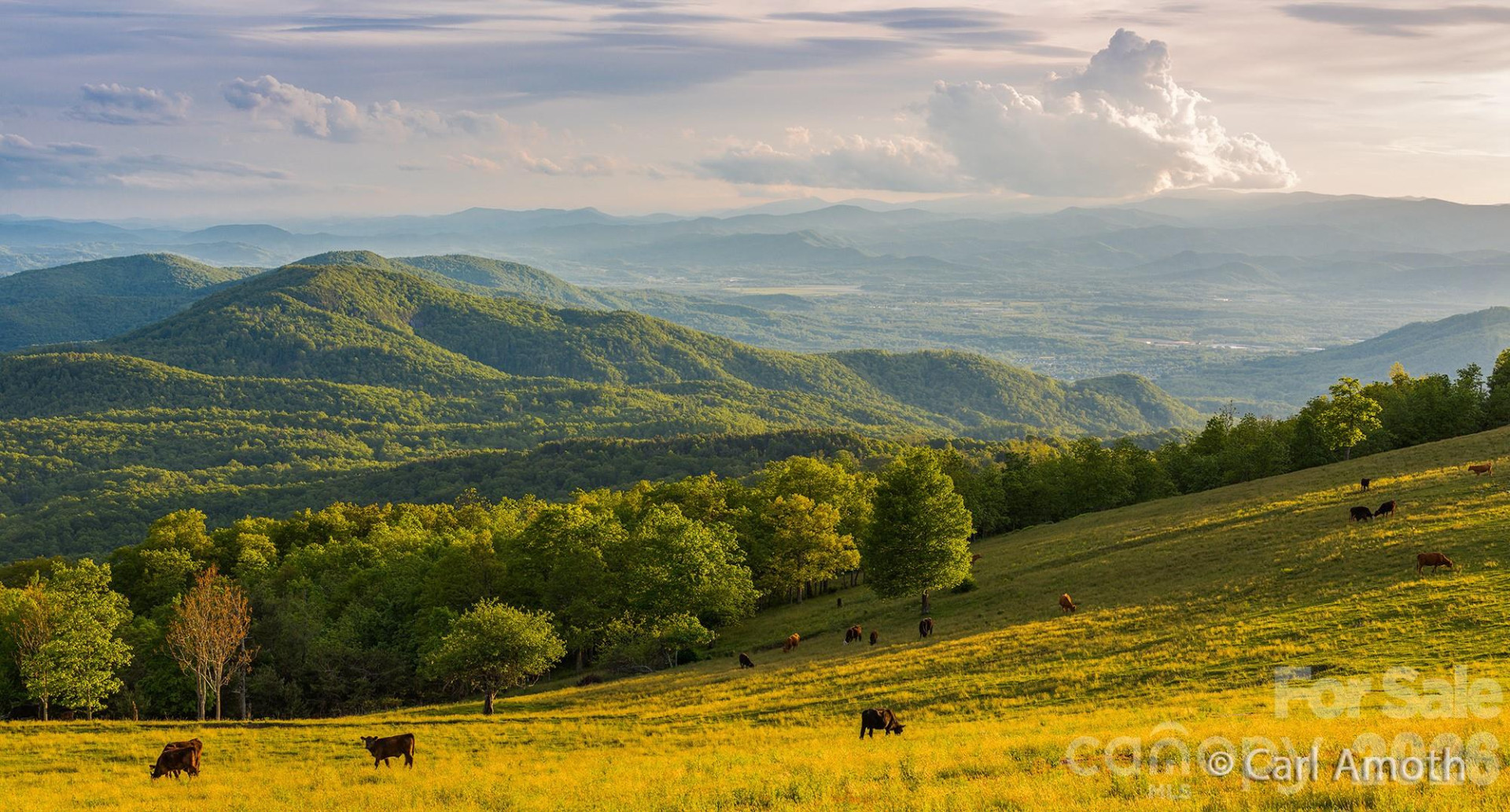 4642 Bearwallow Road - Photo 7