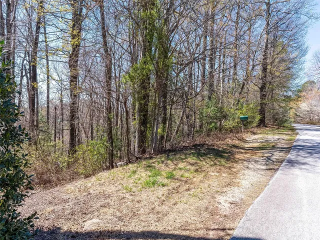 000 Glen Echo Circle, Saluda, NC, 28773