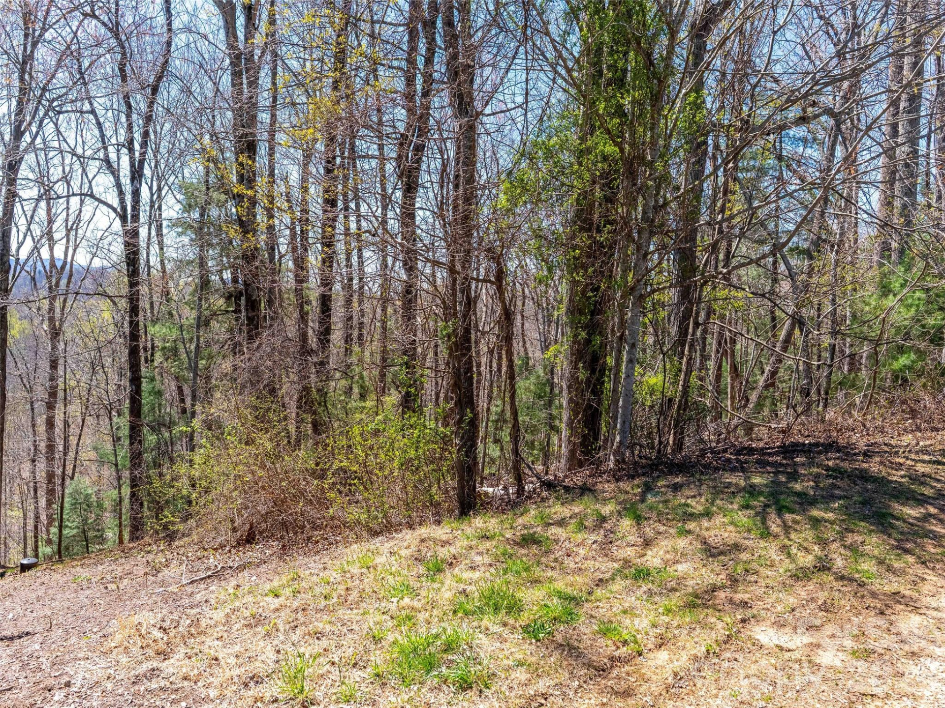 000 Glen Echo Circle - Photo 2