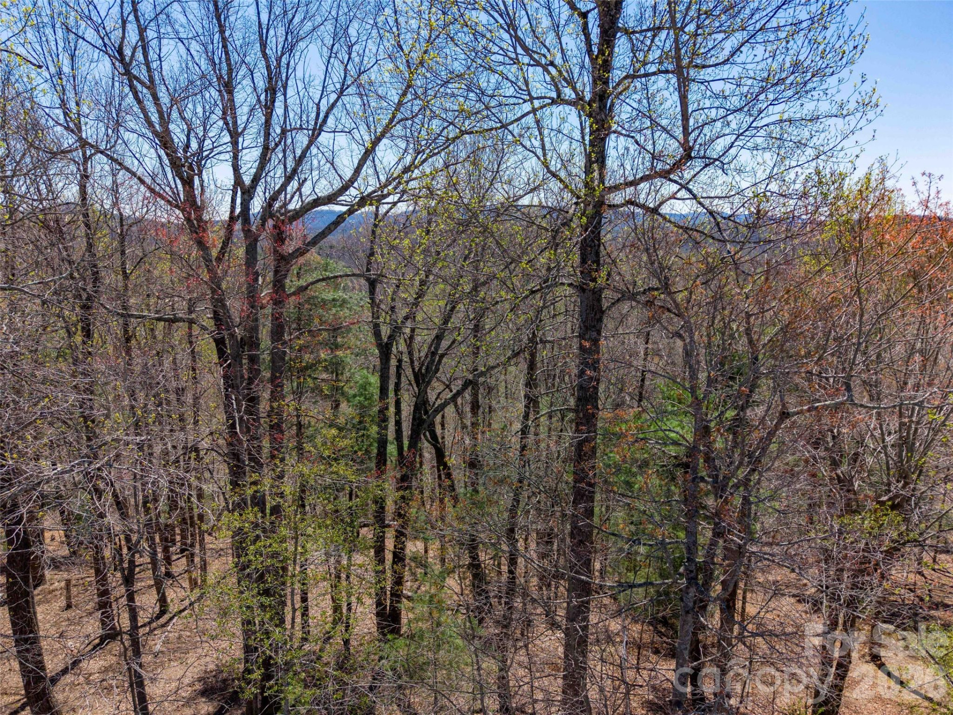 000 Glen Echo Circle - Photo 14