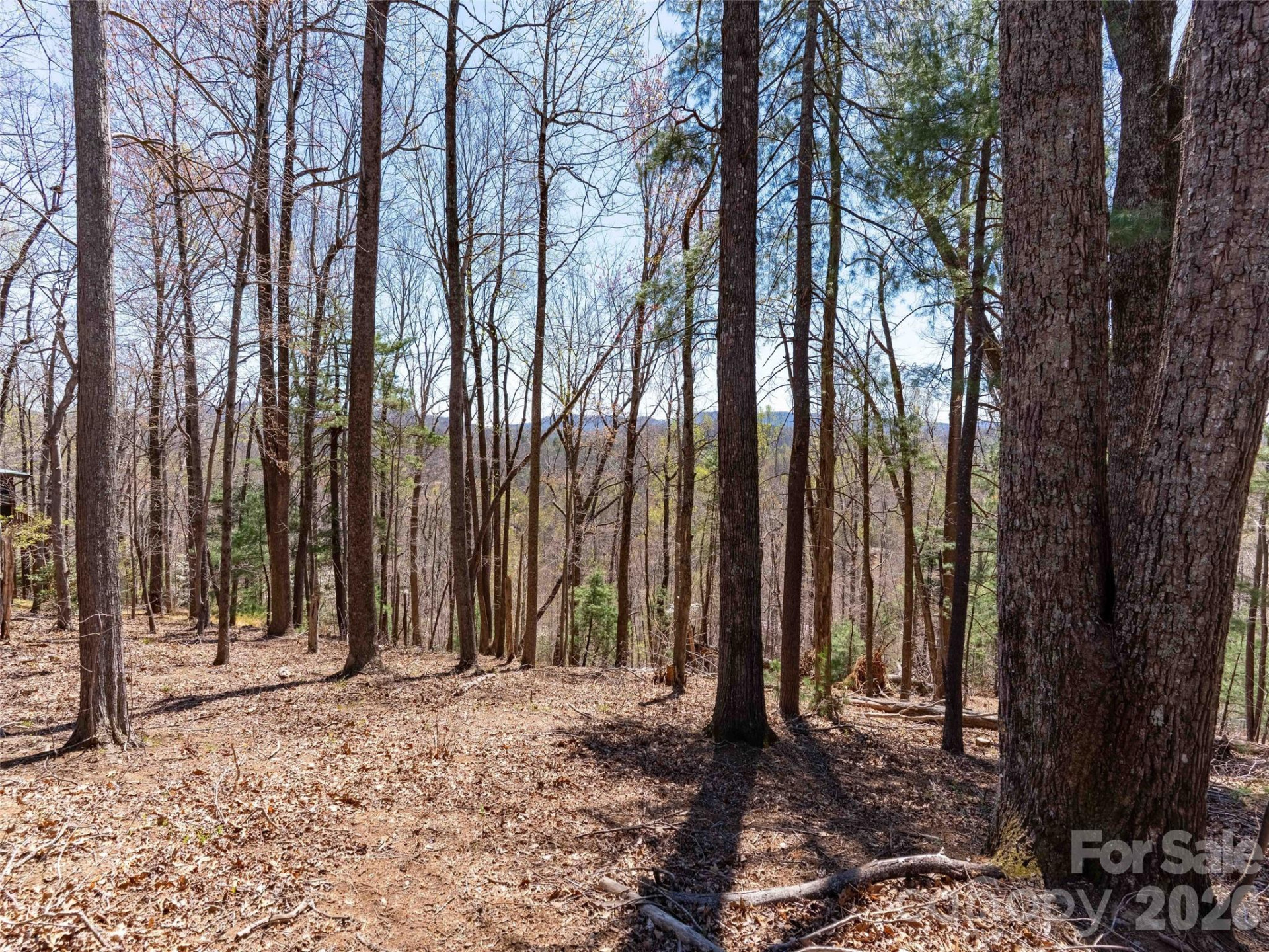 000 Glen Echo Circle - Photo 15