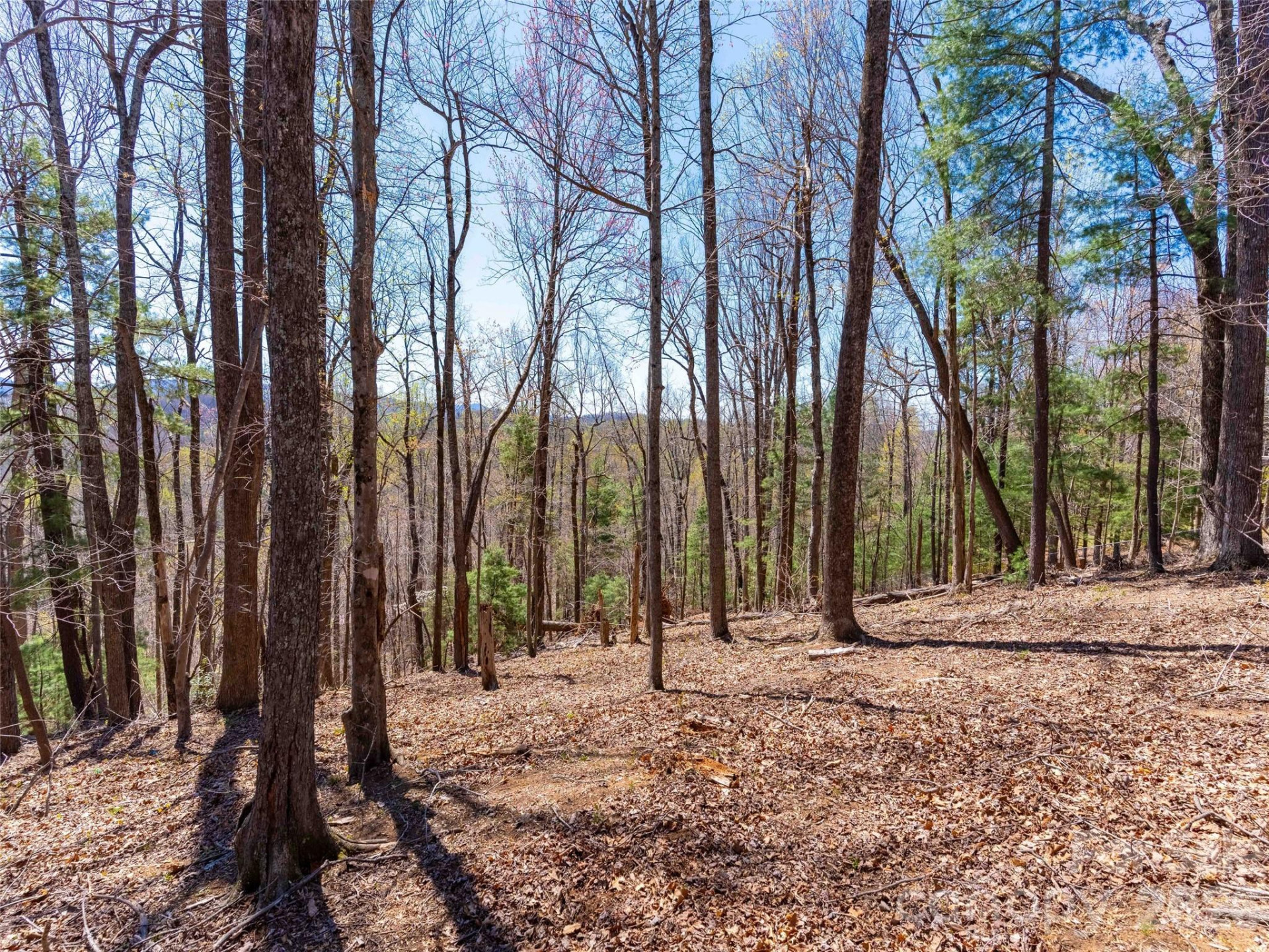 000 Glen Echo Circle - Photo 16