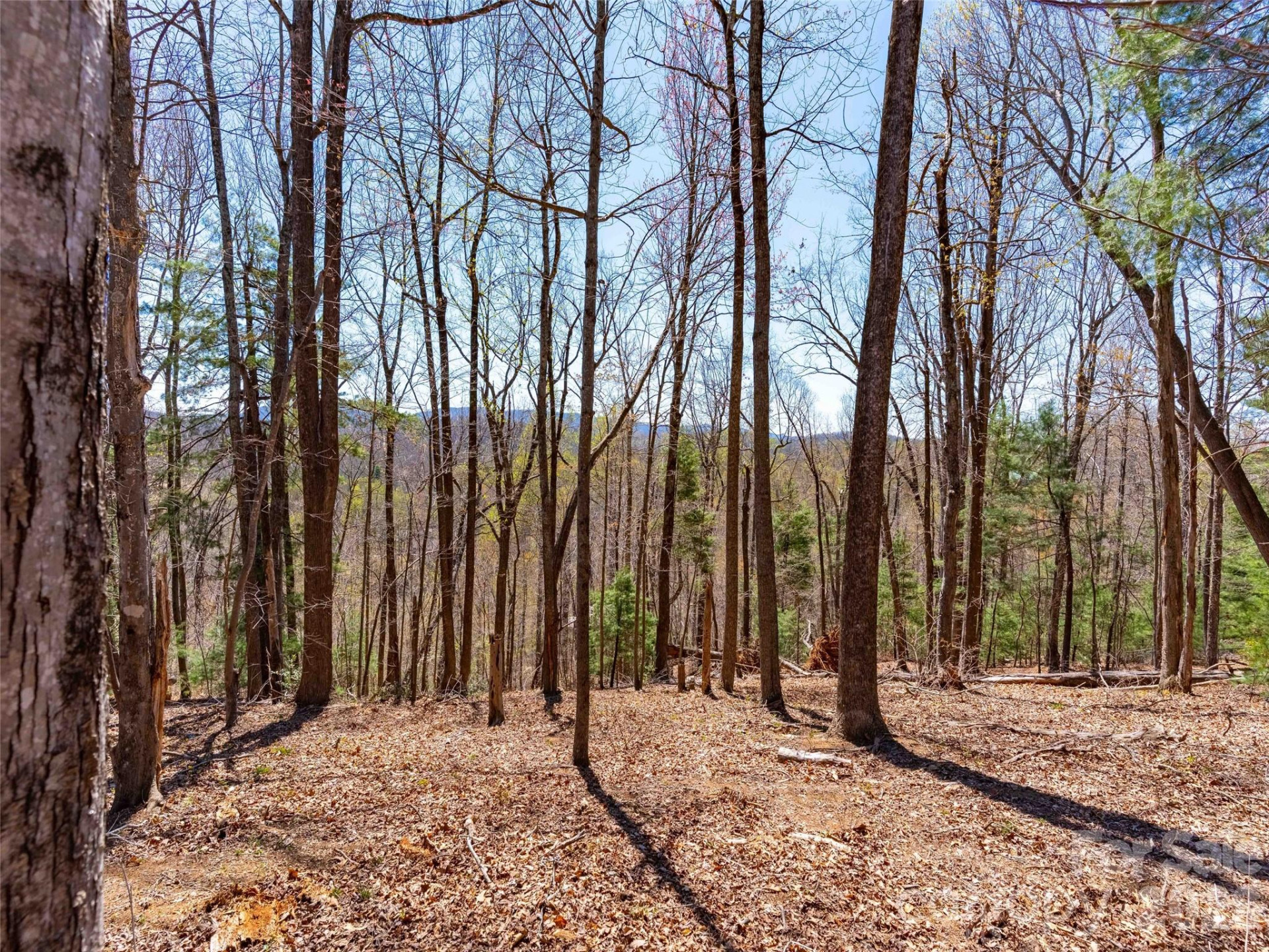 000 Glen Echo Circle - Photo 17